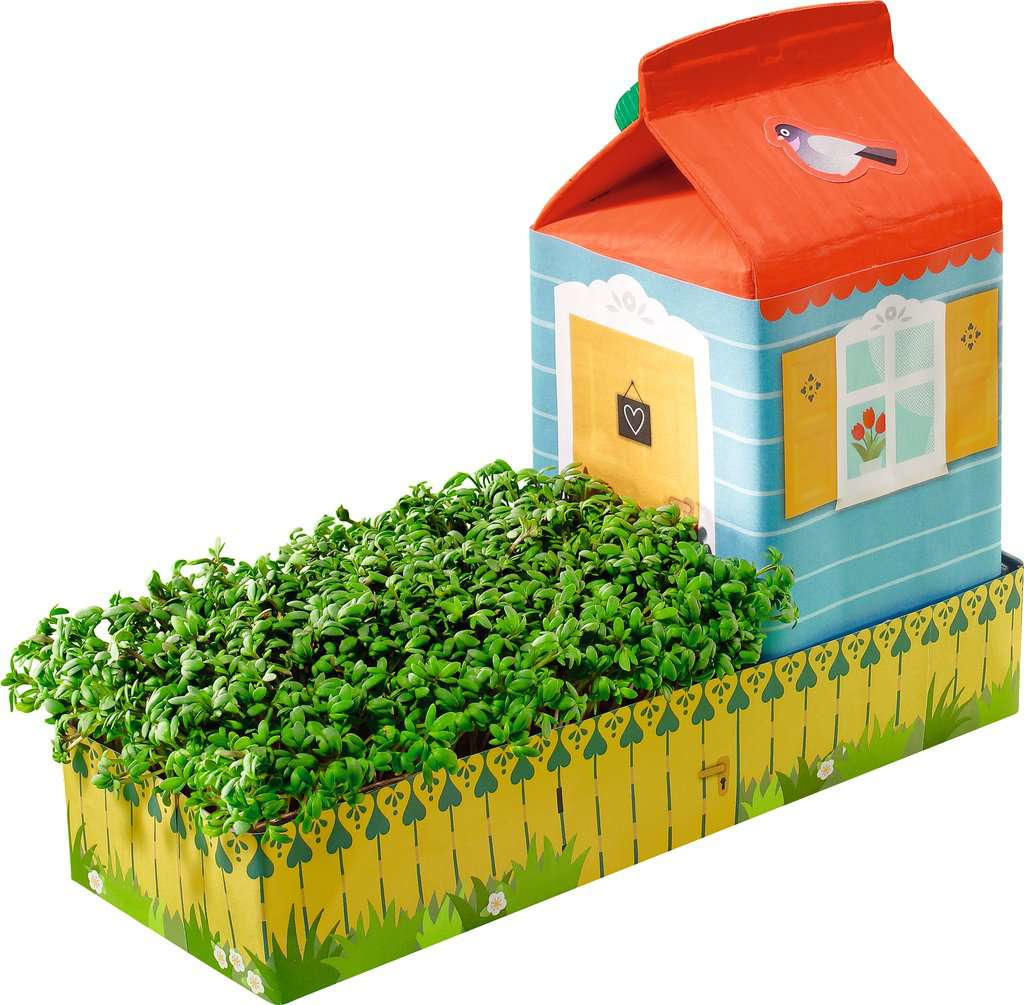 Casa di cartone, pareti blu, tetto rosso, recinzione gialla, piante verdi.