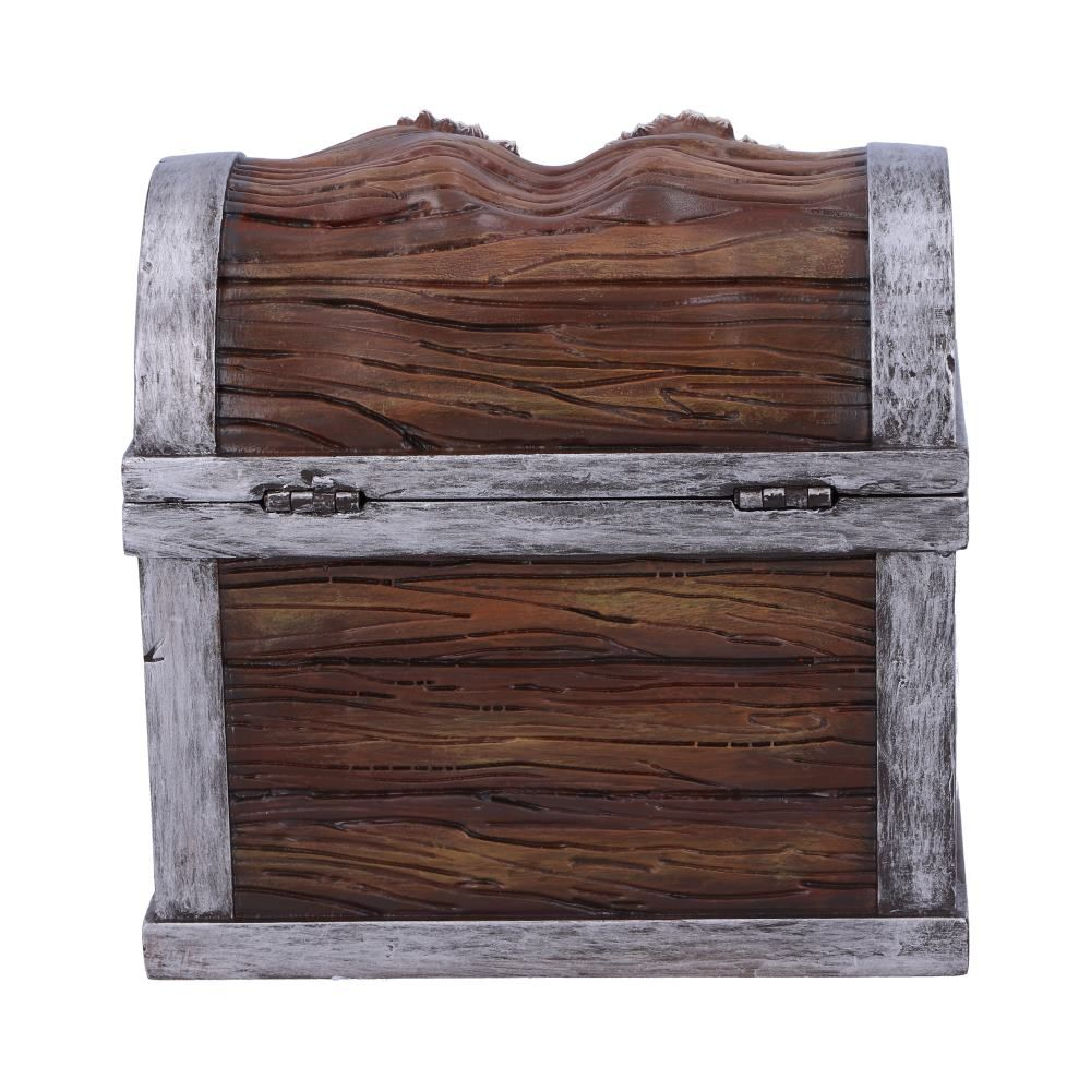 Houten schatkist. Donkerbruin met zilveren afwerking. Het deksel staat iets open en onthult het interieur.