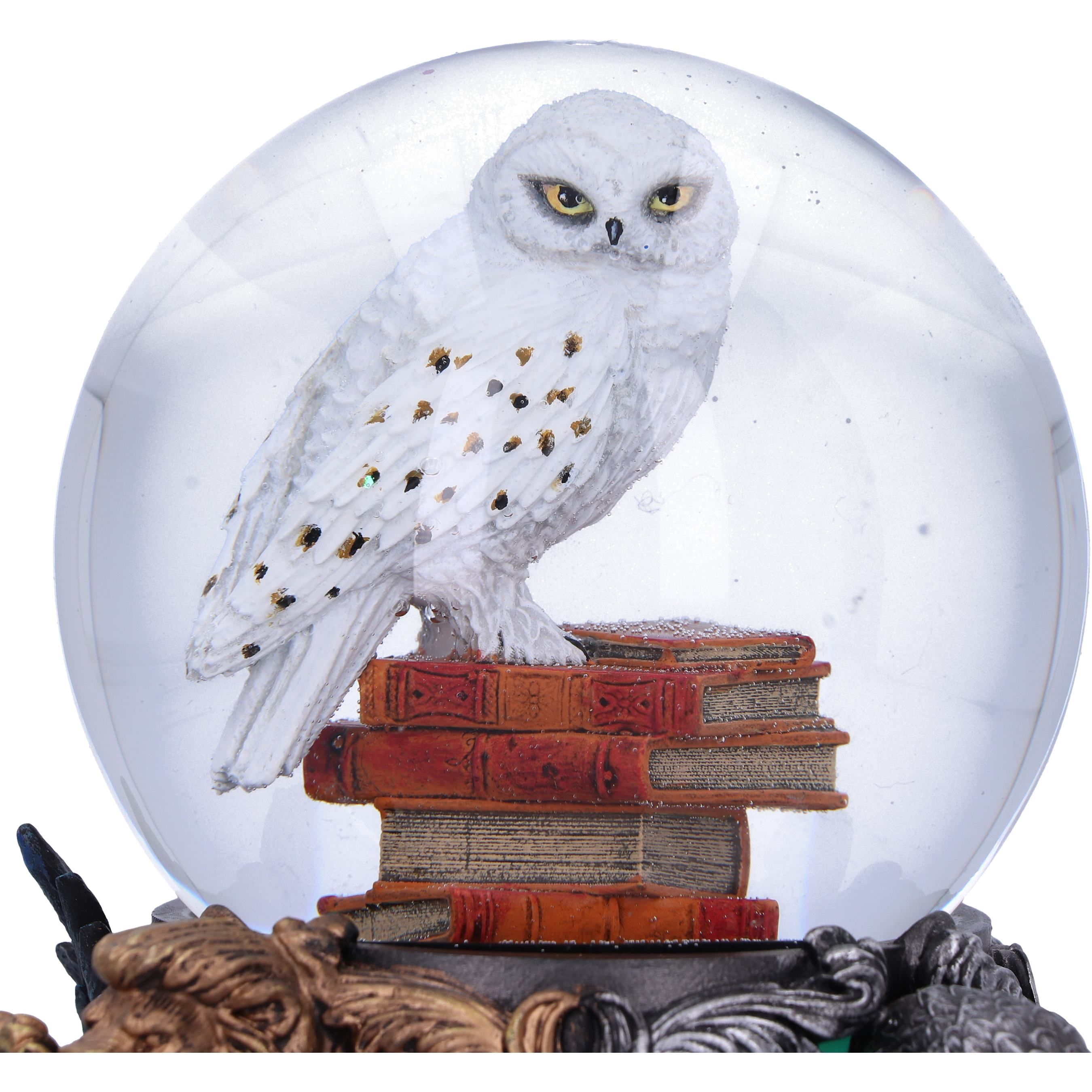 A snow globe with a white owl on top of books. The globe is clear and has a detailed base.