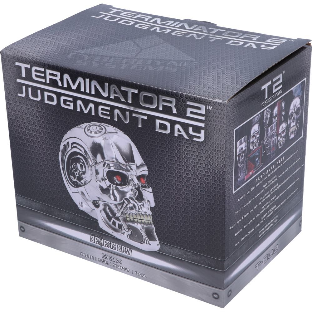 Terminator 2 box. It has the Terminator skull with red eyes. The background is gray.