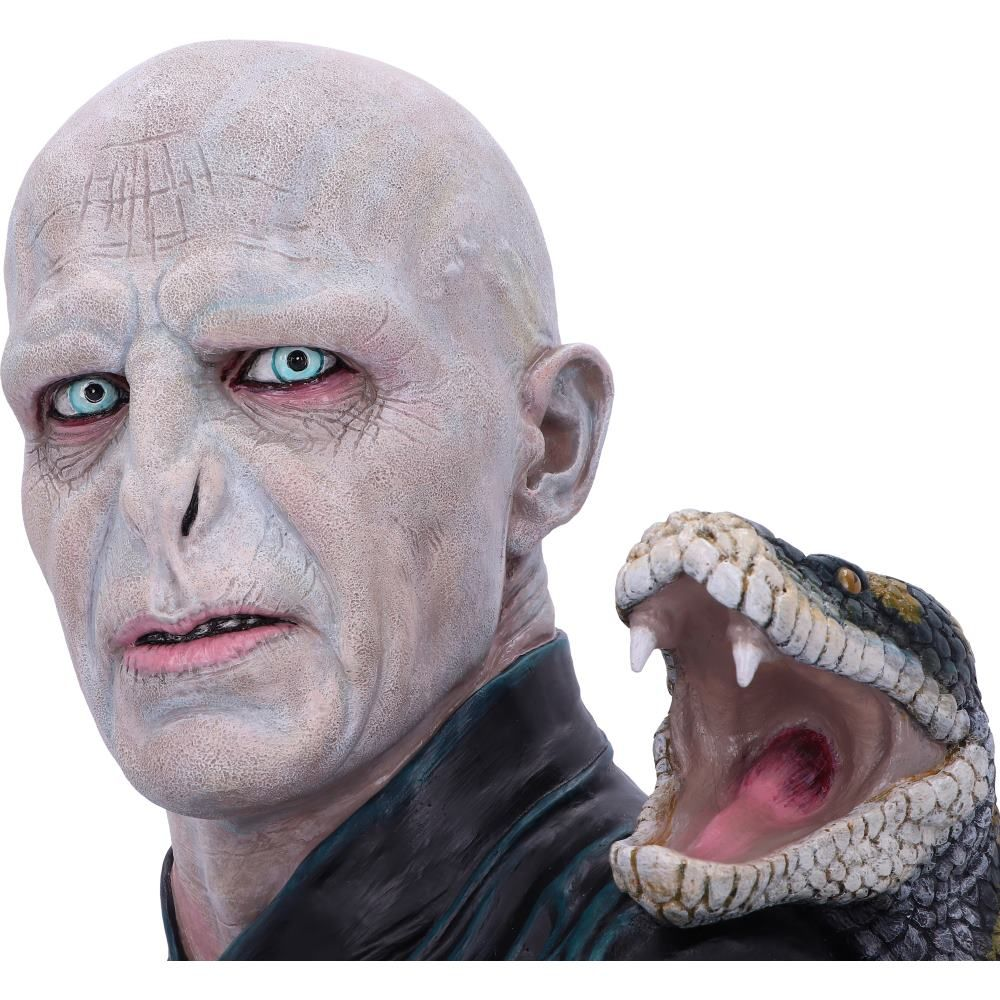 Voldemort buste met slang. Bleke huid, blauwe ogen. Slang met open mond.