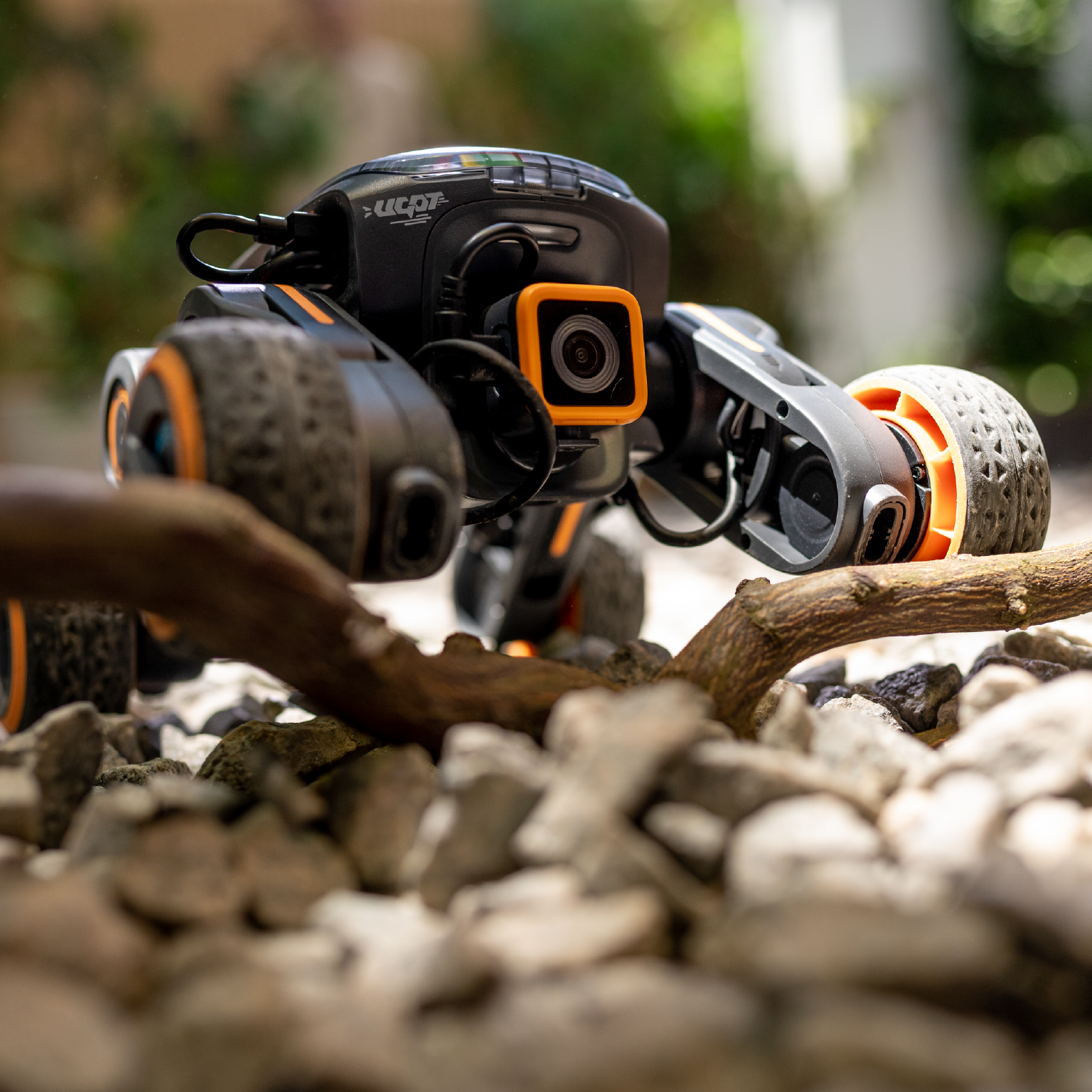 Black and orange remote control car on rocks with a blurred green background.