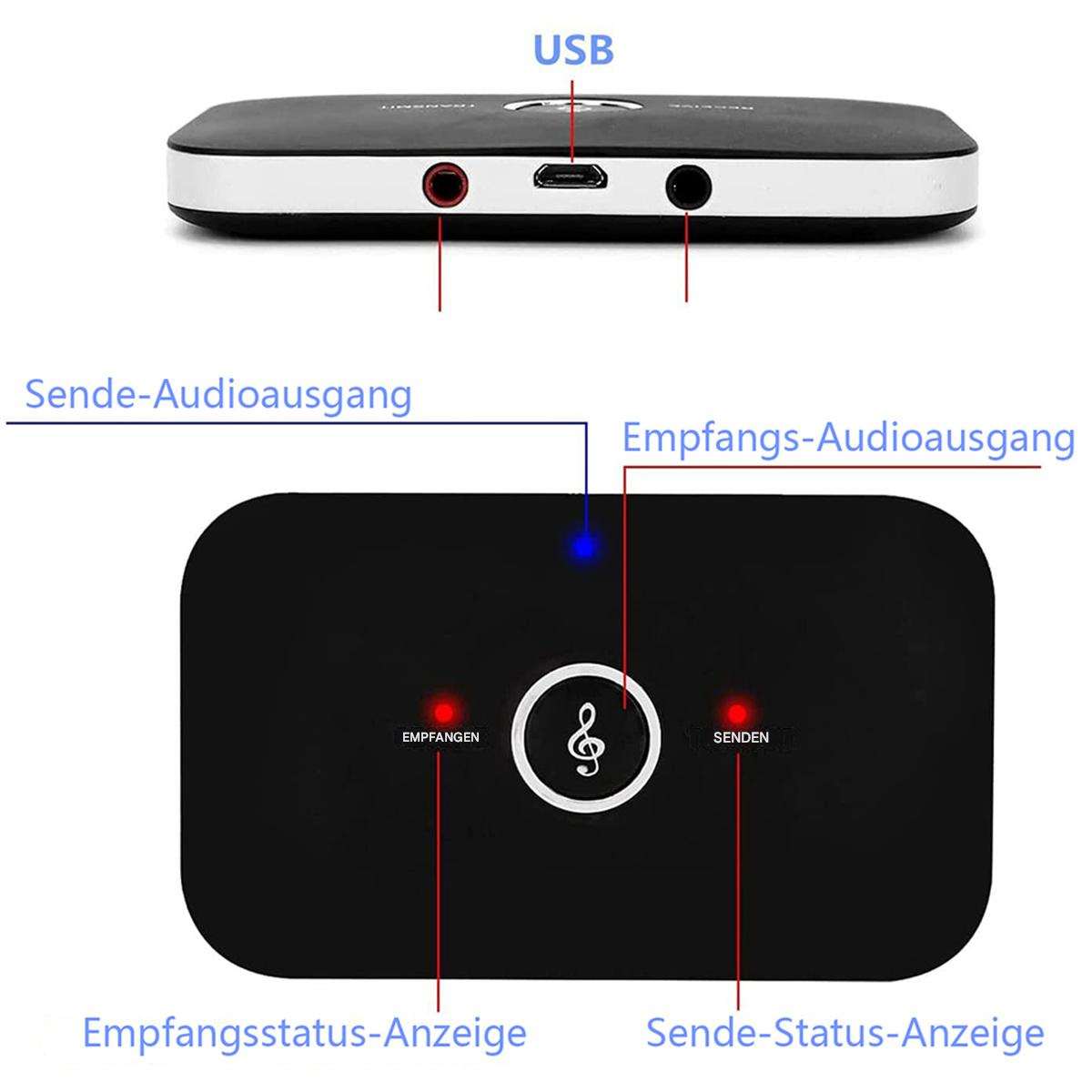 Ein schwarzes Gerät mit Anschlüssen und Beschriftungen für Audio-Ein-/Ausgang und USB.