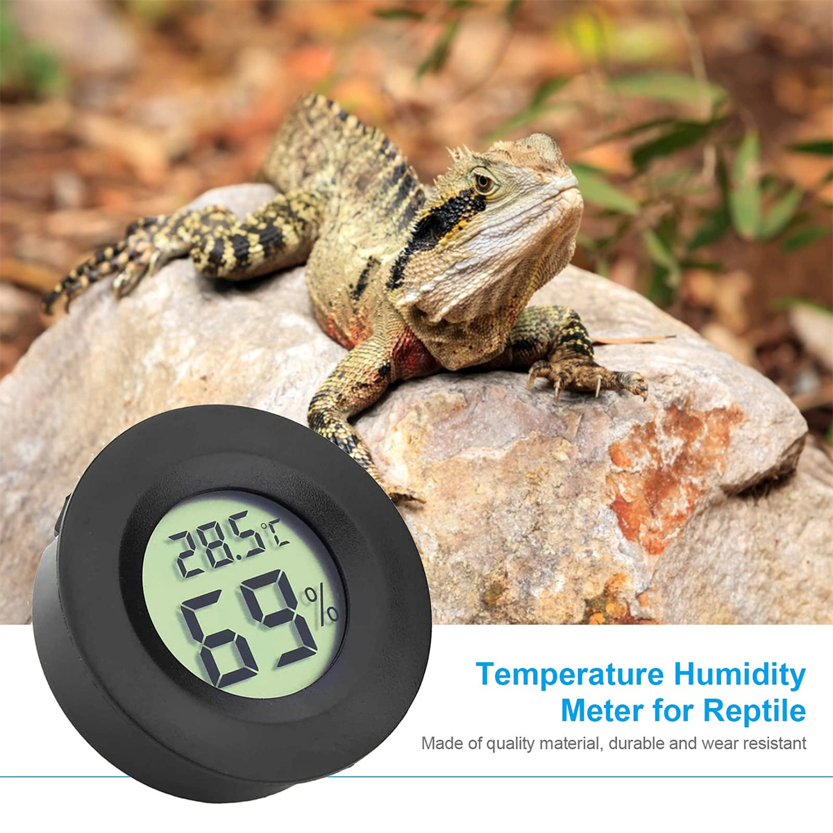 Eine Eidechse auf einem Felsen mit einem Temperatur- und Feuchtigkeitsmesser daneben, der 28,5°C und 69% anzeigt.