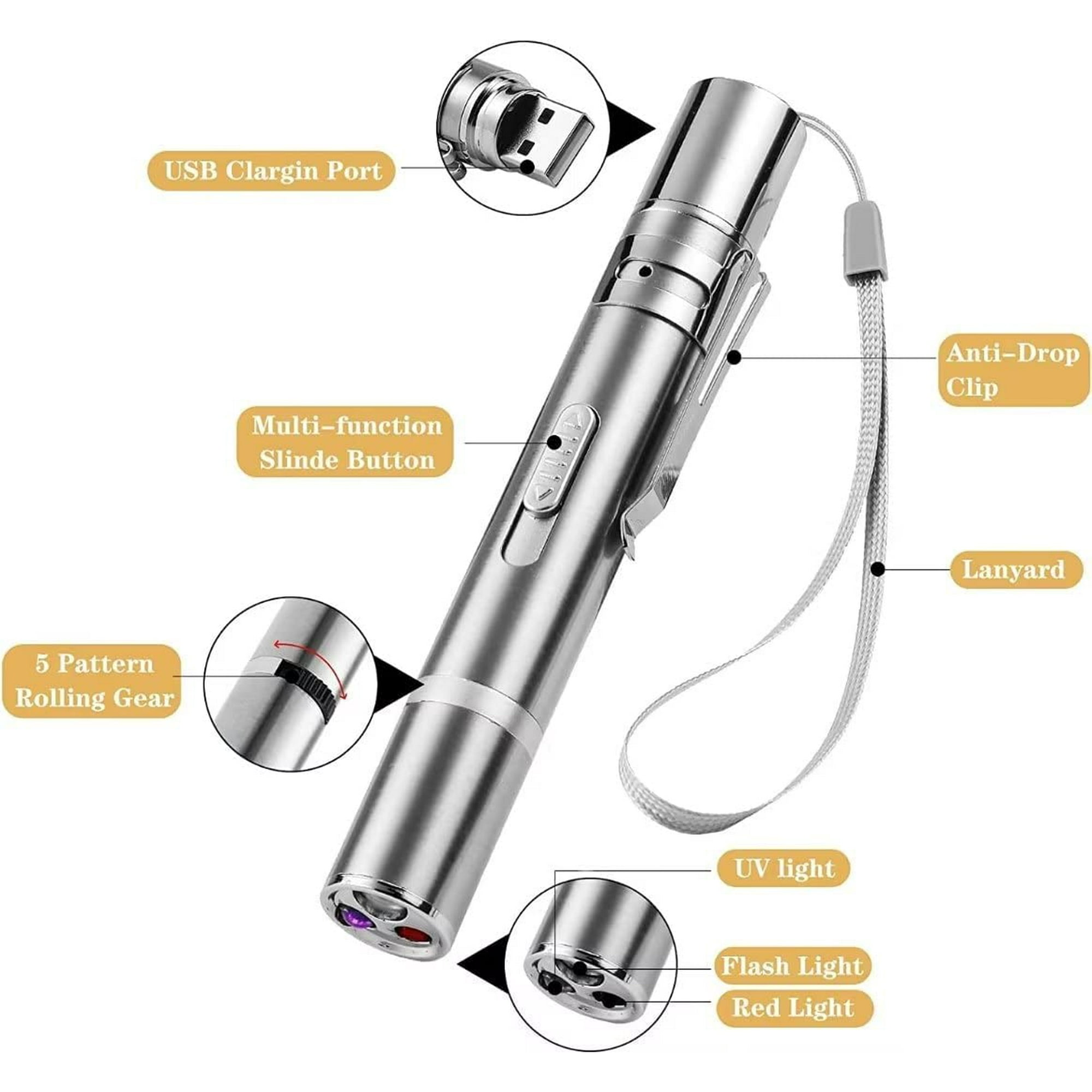 Ein silberner Laserpointer mit beschrifteten Funktionen: USB-Anschluss, Tasten, Lichtoptionen und Lanyard.