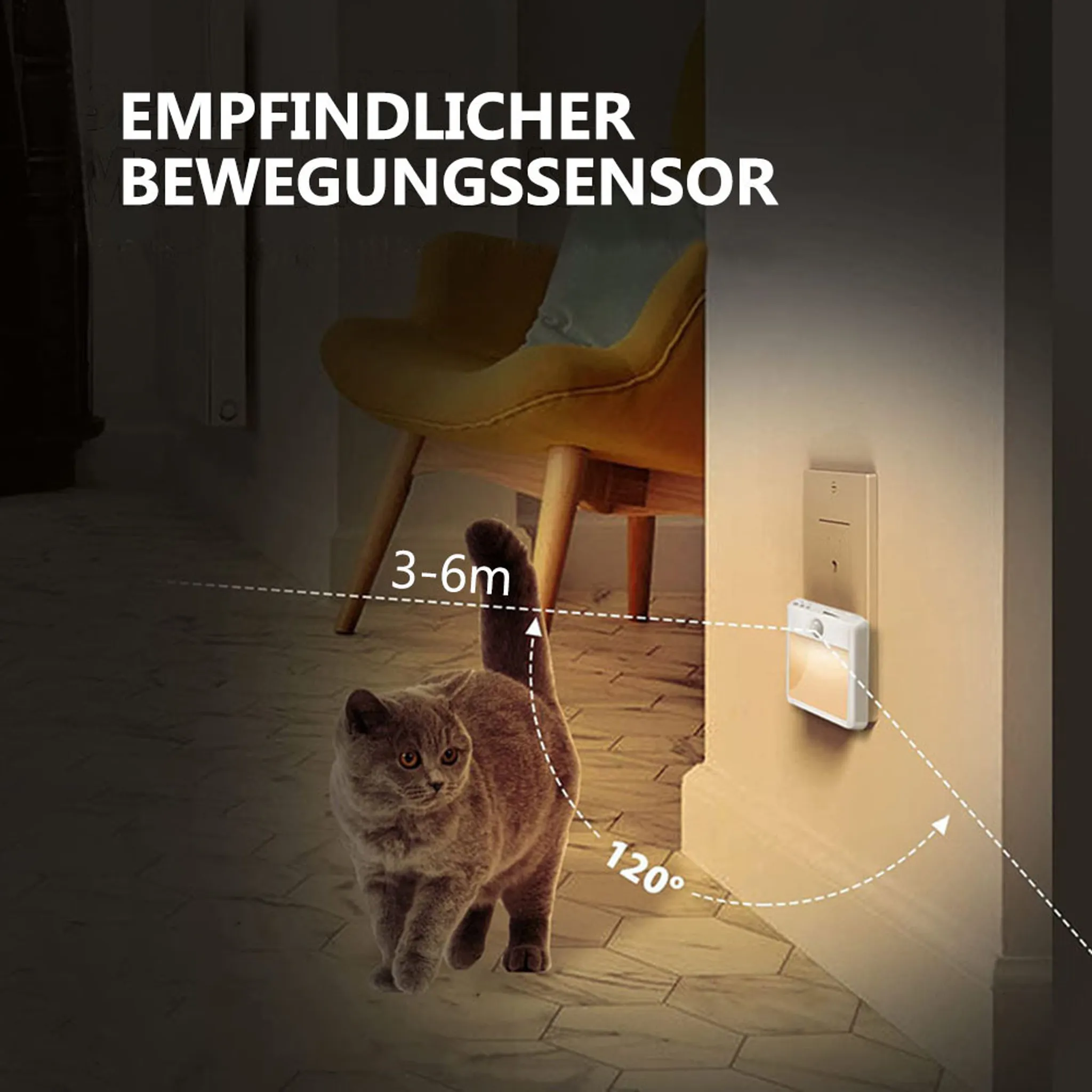 Katze in einem Raum mit Bewegungssensor. Der Sensor ist an der Wand. 3-6m und 120° sind erwähnt.
