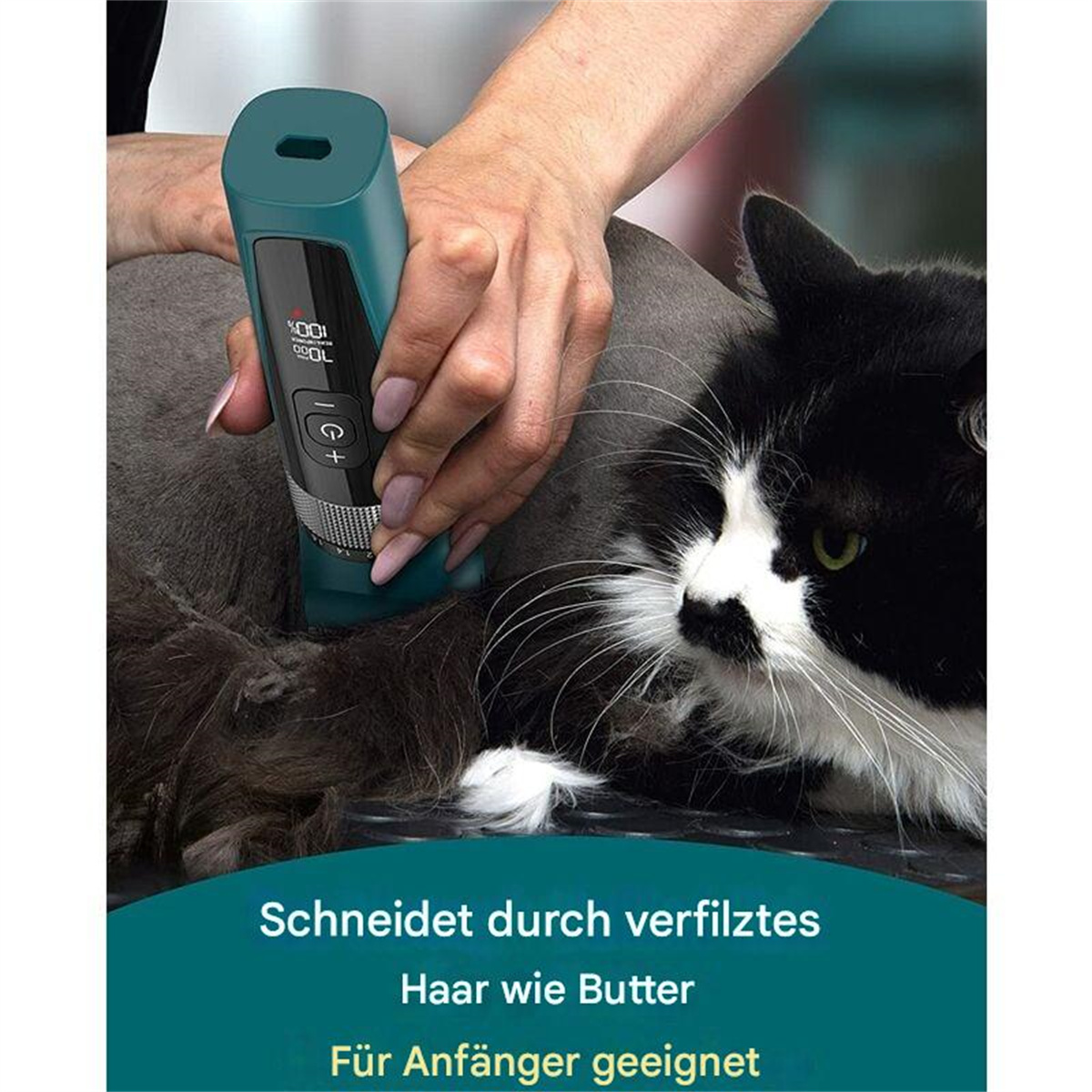 Eine Person schneidet das Fell einer Katze mit einem elektrischen Trimmer, die Katze ist schwarz und weiß.