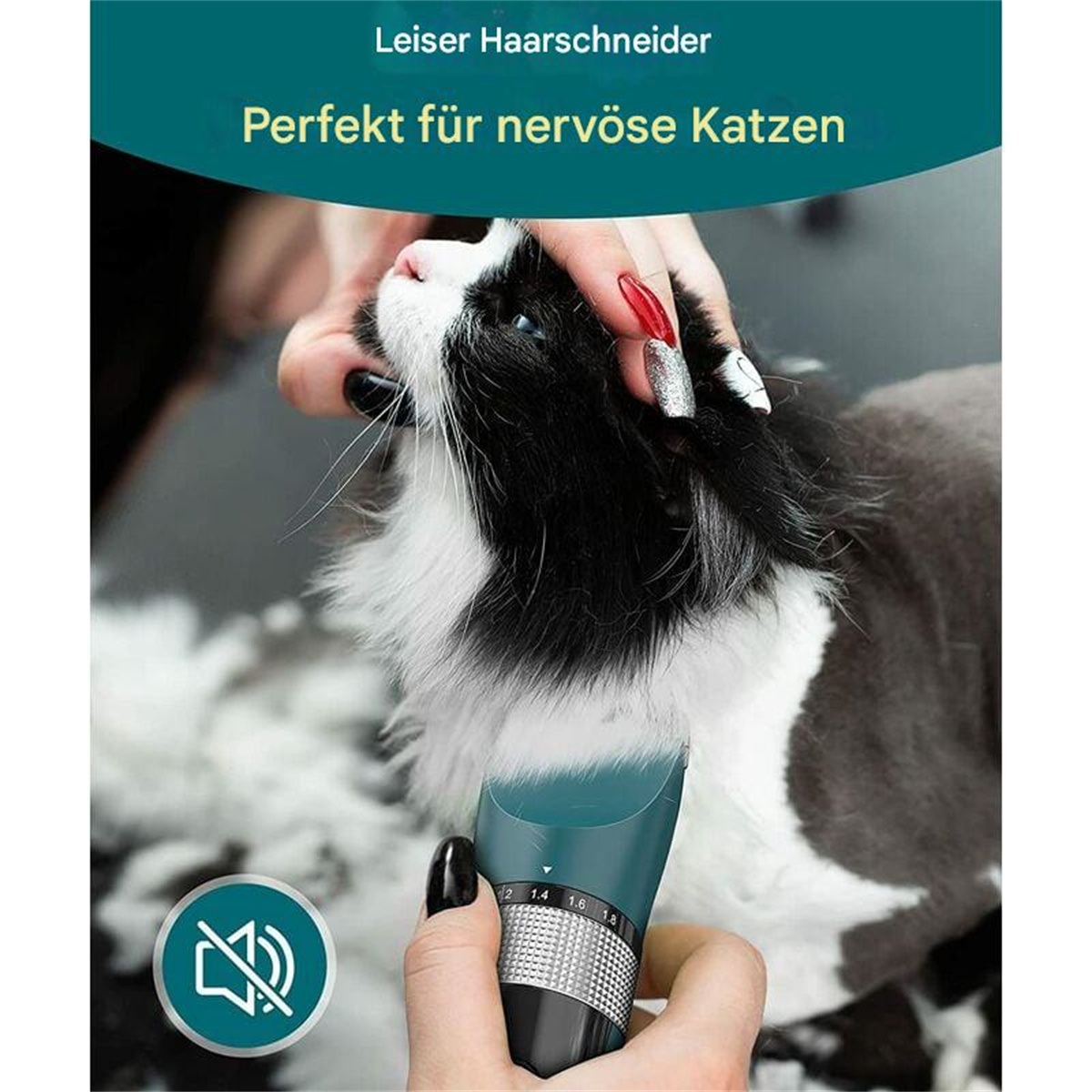 Eine Person pflegt eine schwarz-weiße Katze mit einem Haarschneider.