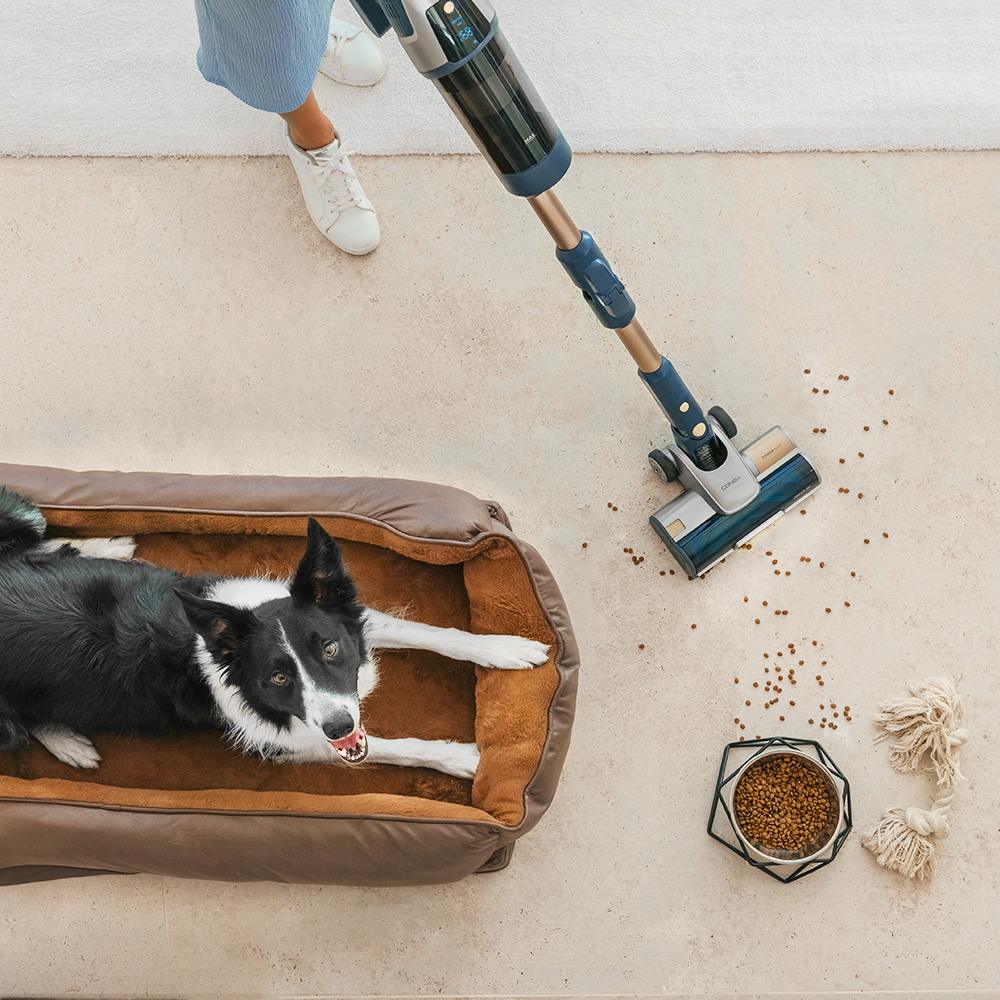 A dog in a bed while a person vacuums the floor. There are food and a toy nearby.