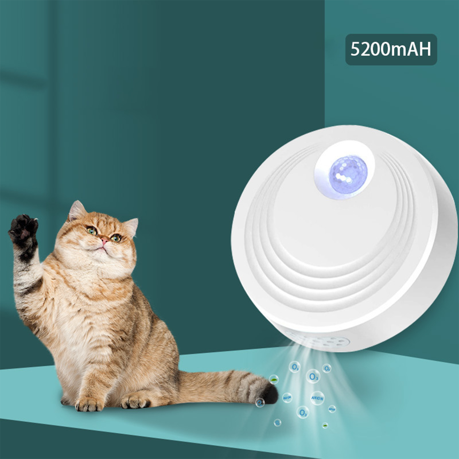 Eine Katze mit einem weißen Luftreiniger. Der Reiniger hat ein blaues Licht und gibt Luft ab. Katze schaut.
