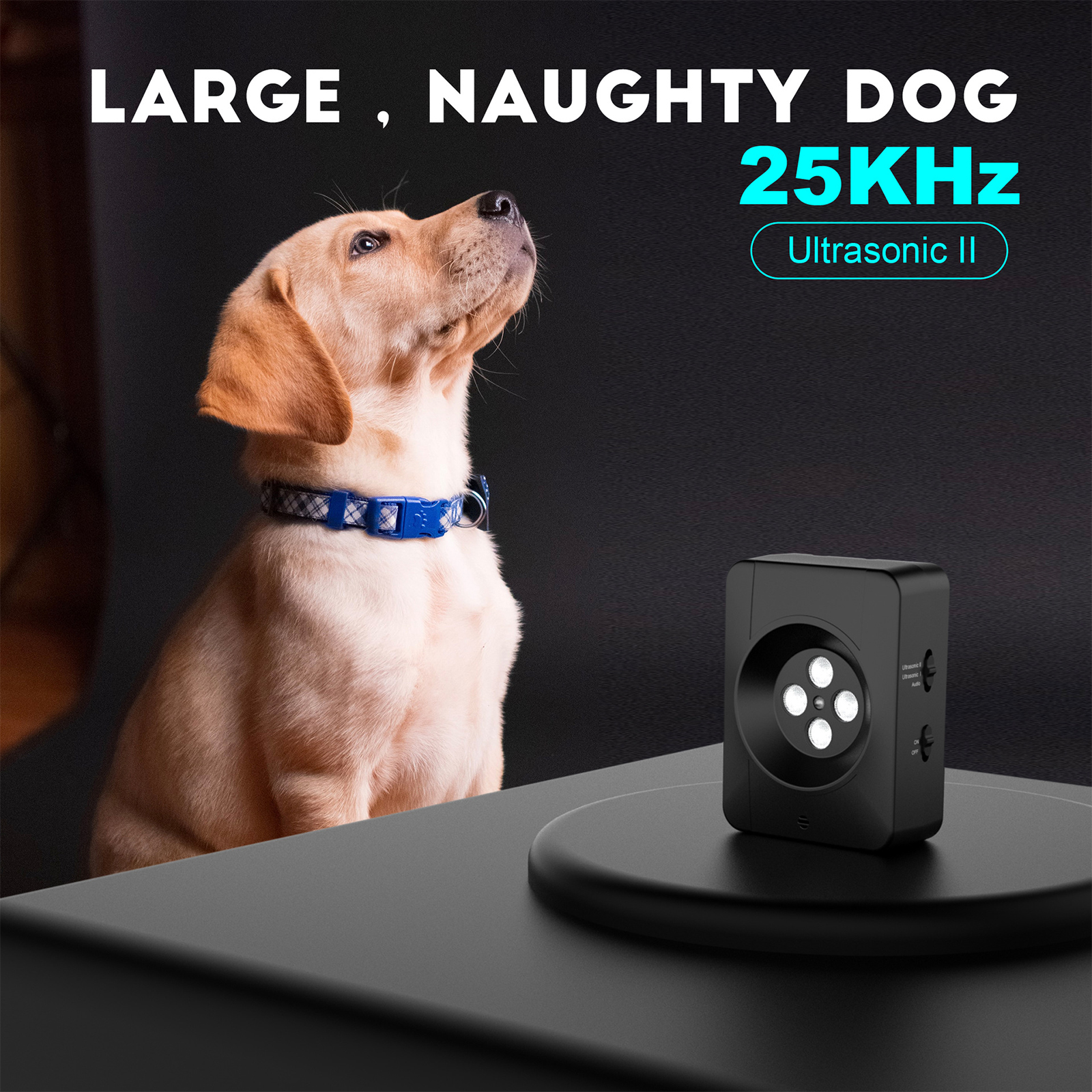 Ein Hund schaut nach oben, daneben ein kleines schwarzes Gerät. Das Gerät hat weiße Lichter.