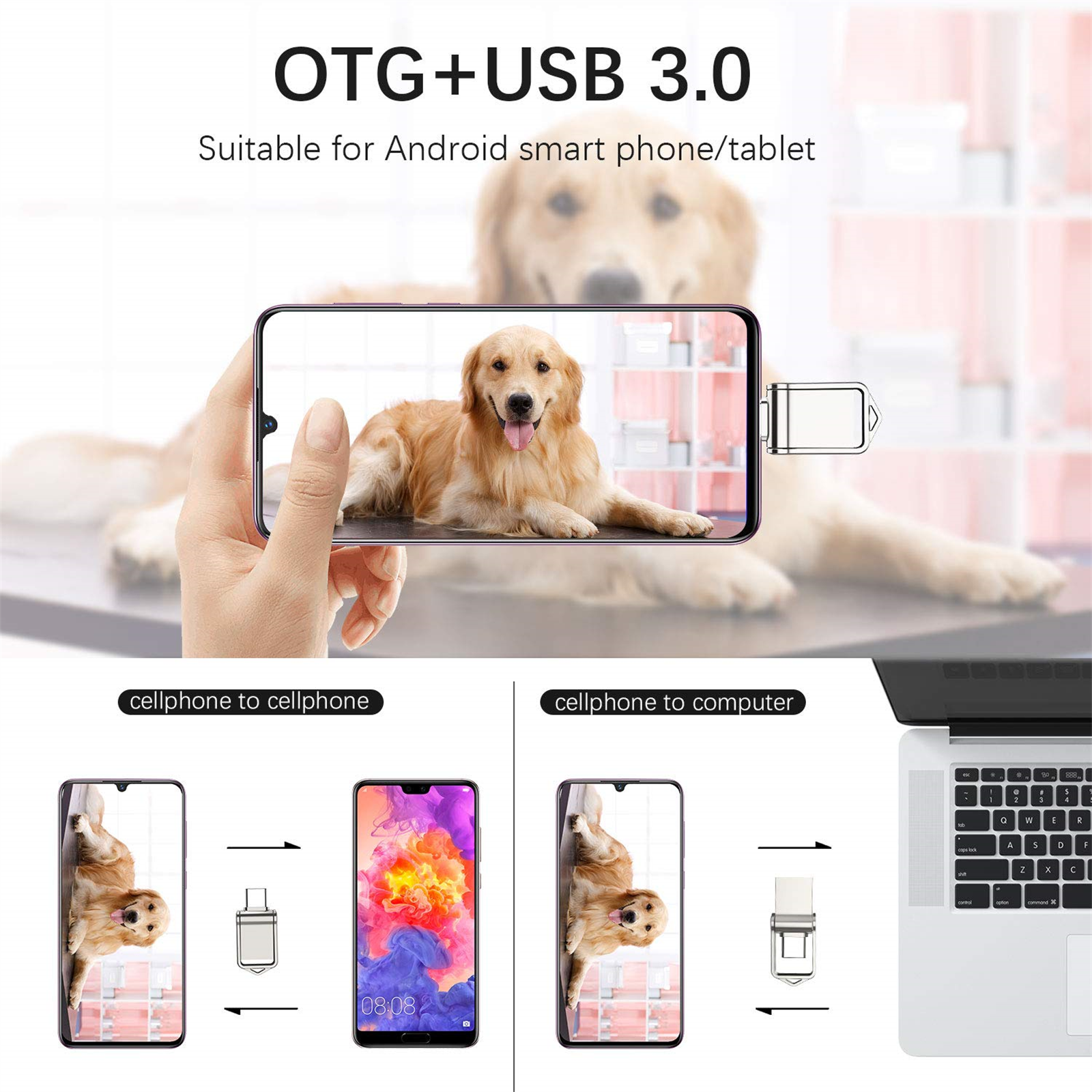 Eine Person hält ein Telefon mit einem Hundebild, das über einen Adapter mit einem anderen Telefon und Laptop verbunden ist.