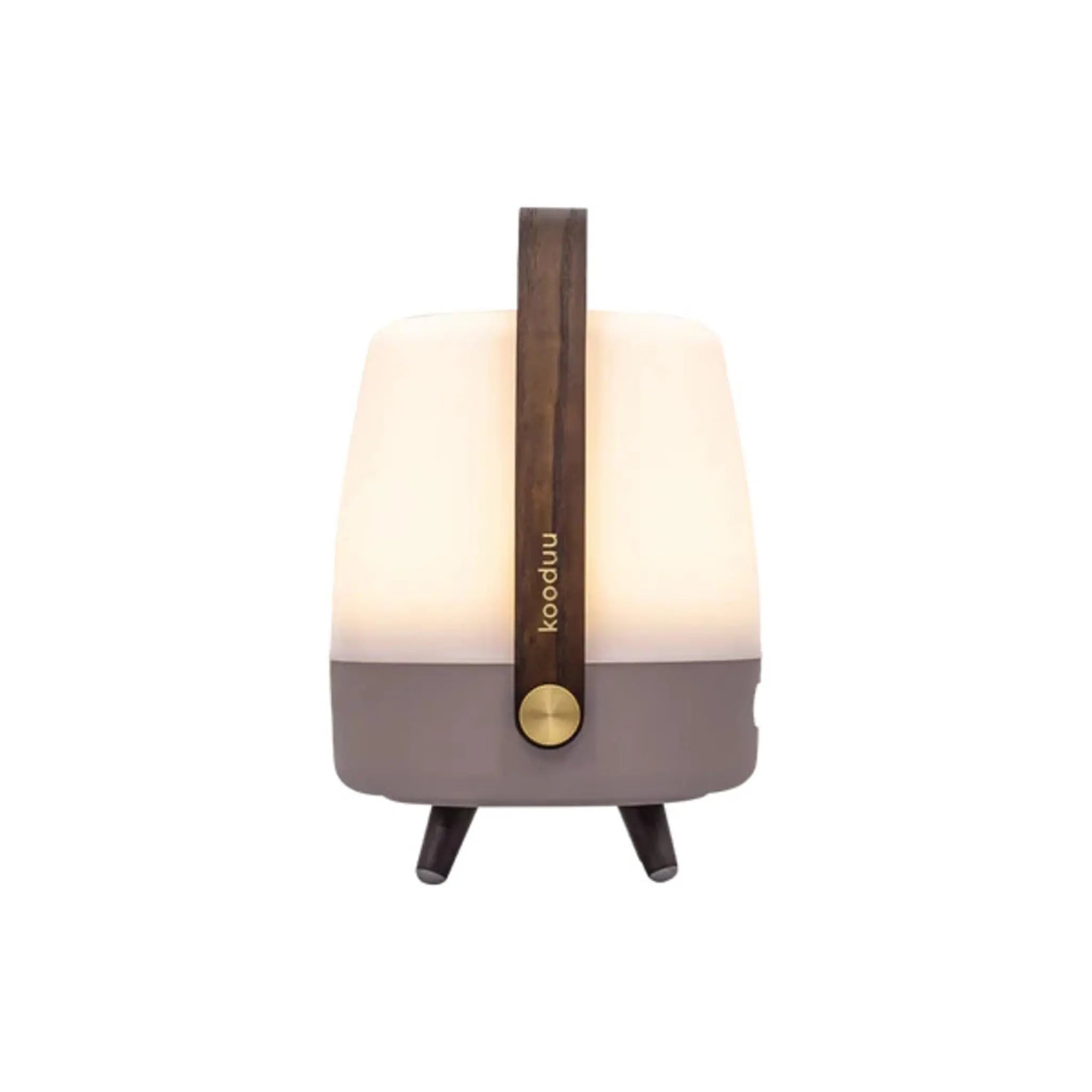 Eine weiß-graue Lampe mit Holzgriff. Sie hat eine leuchtende, rechteckige Form.