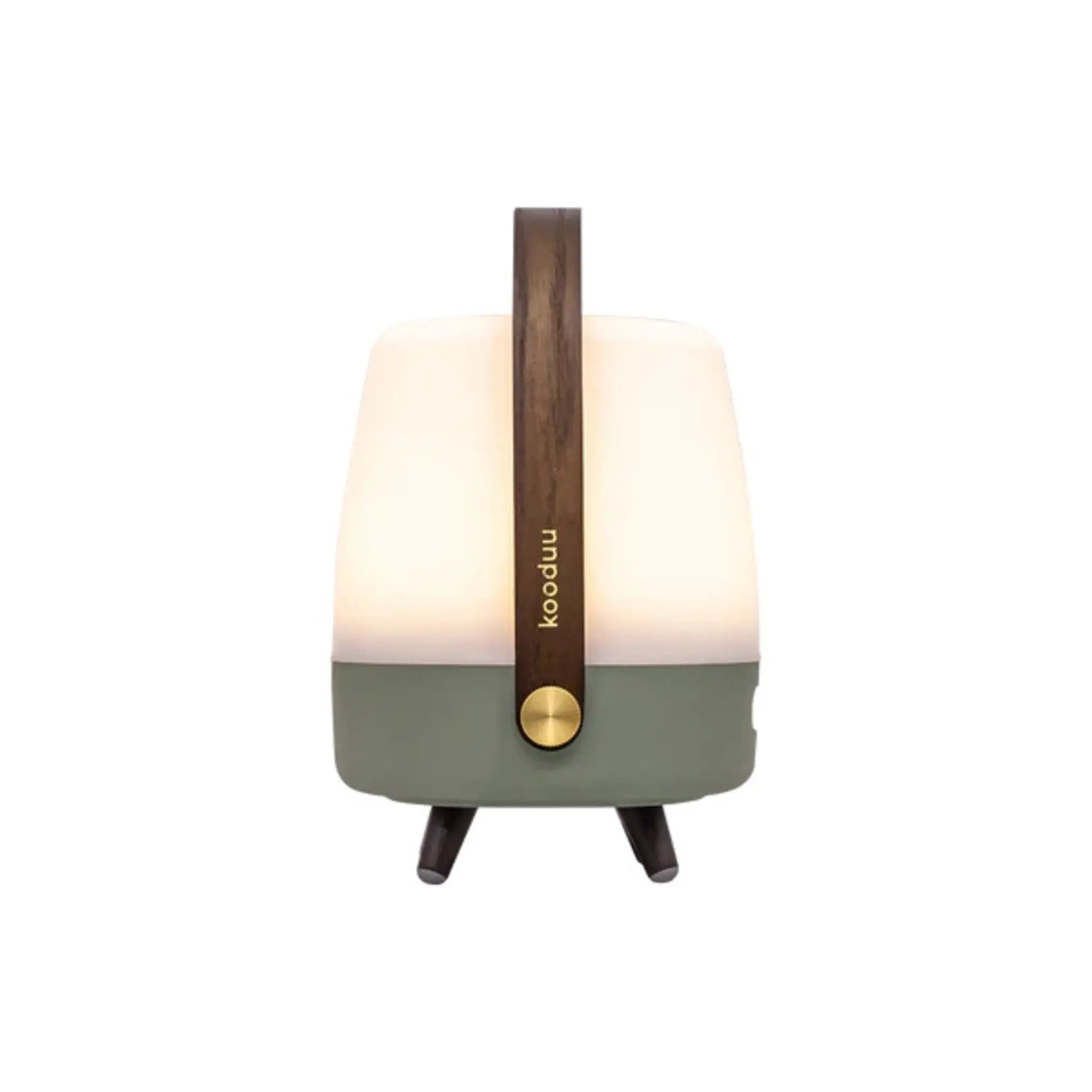 Eine grün-weiße Lampe mit Holzgriff und Beinen, leuchtend und einsatzbereit.