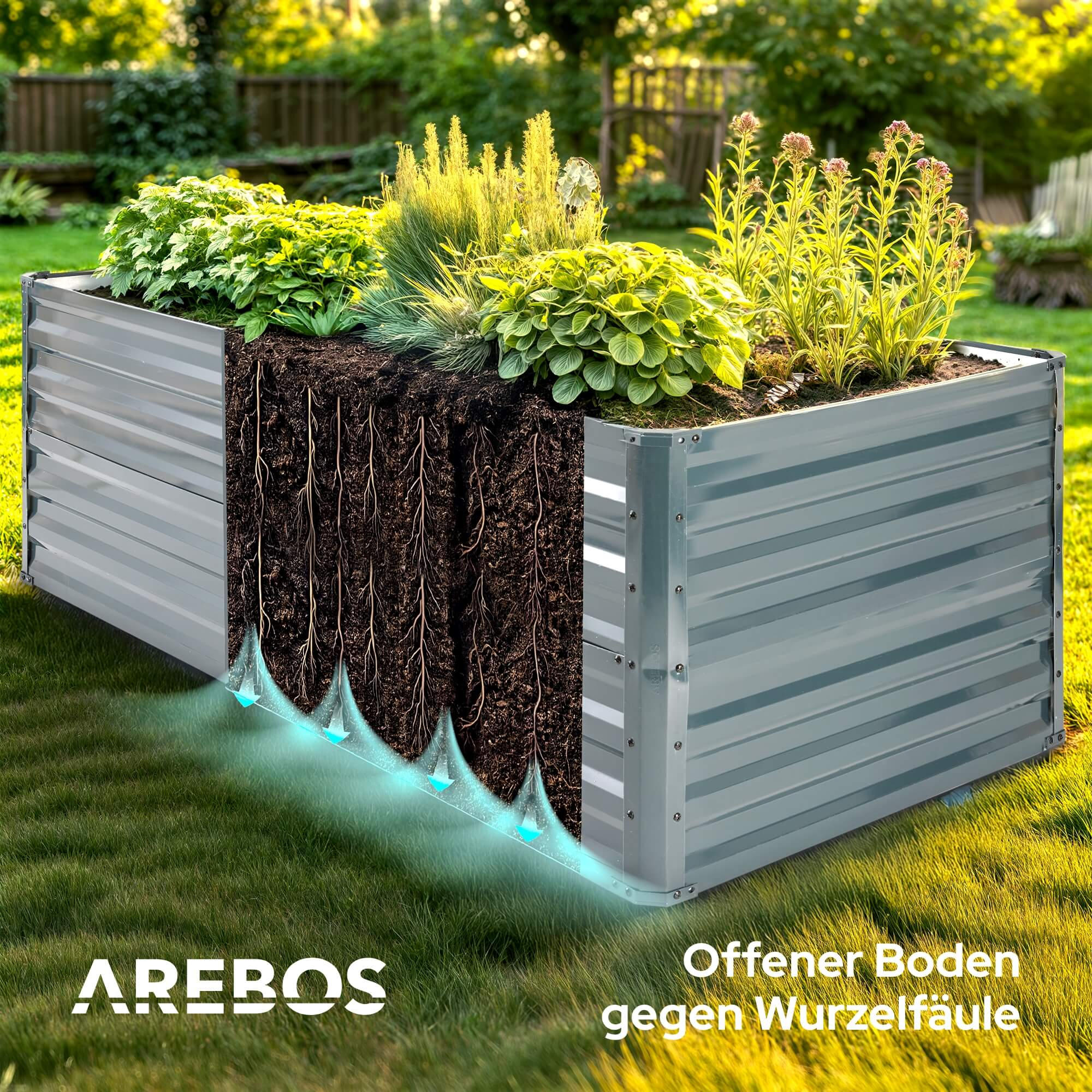 Erhöhtes Metall-Gartenbeet. Pflanzen und Erde innen, Wurzeln sichtbar. Blaue Wasserbewässerung von unten.