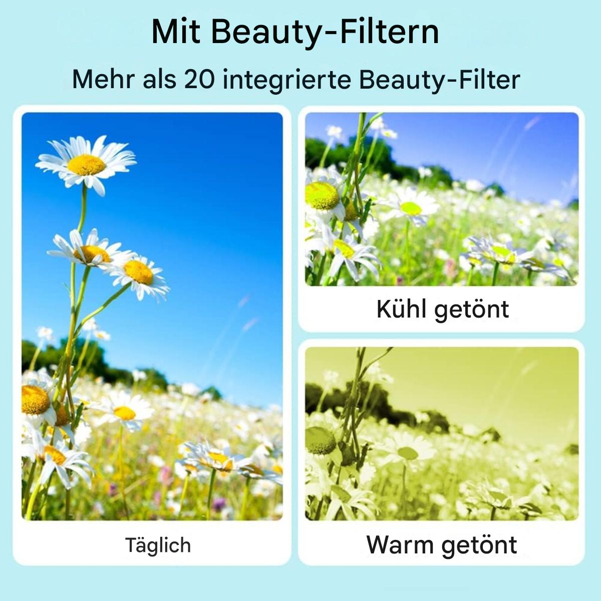 Bildschirme mit Gänseblümchenbildern und Text, die Schönheitsfilter zeigen: Täglich, Kühl und Warm.