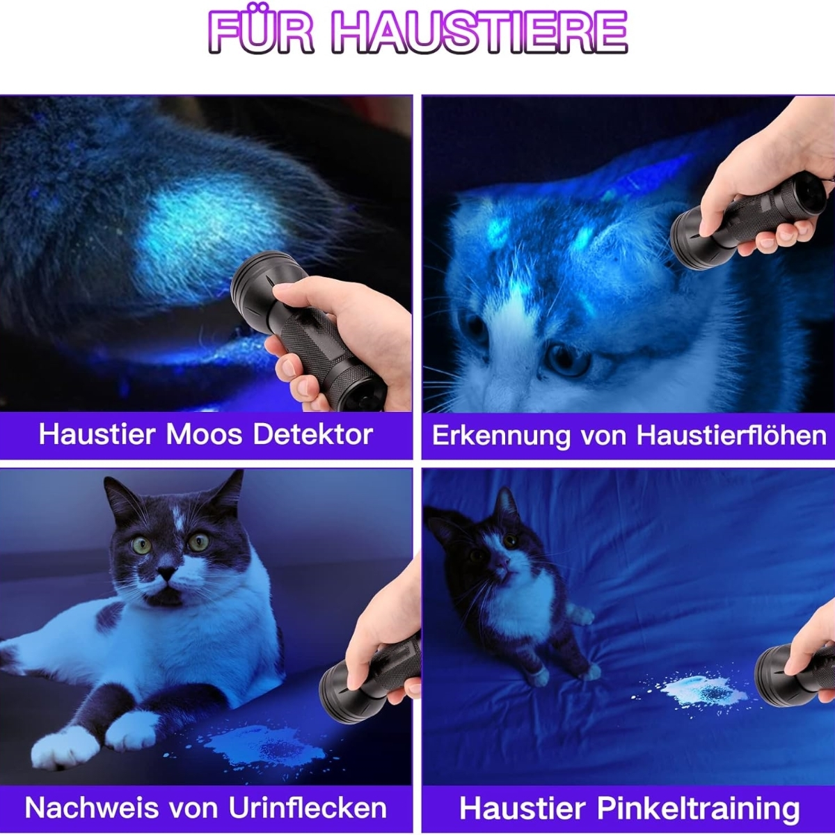 Bilder, die Katzen und ihr Fell zeigen, beleuchtet von einer schwarzen Taschenlampe, zur Haustierfleckenerkennung.