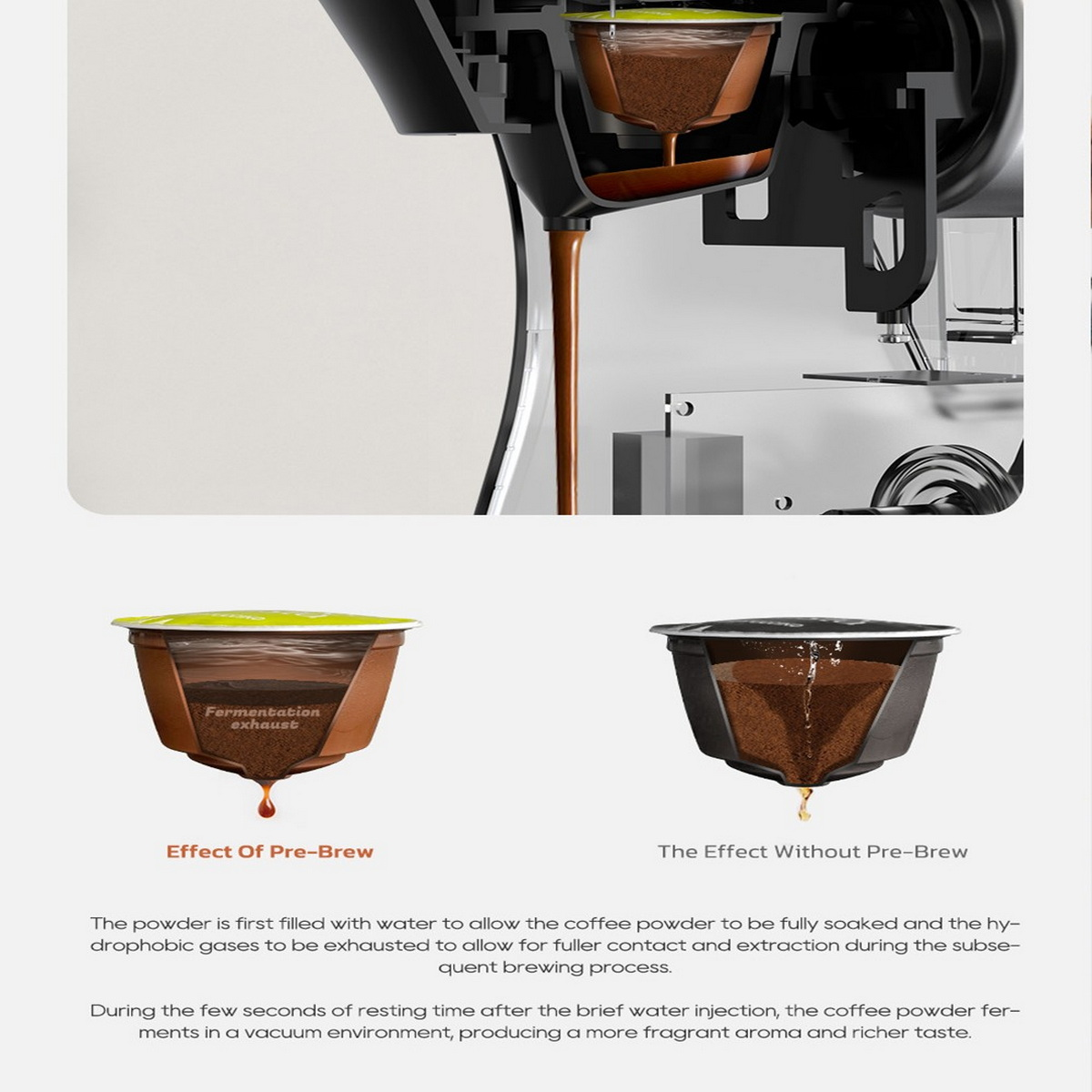 Diagramm, das den Brühvorgang von Kaffeepads zeigt: Vorbrühen und ohne Vorbrühen, mit beschrifteten Teilen.