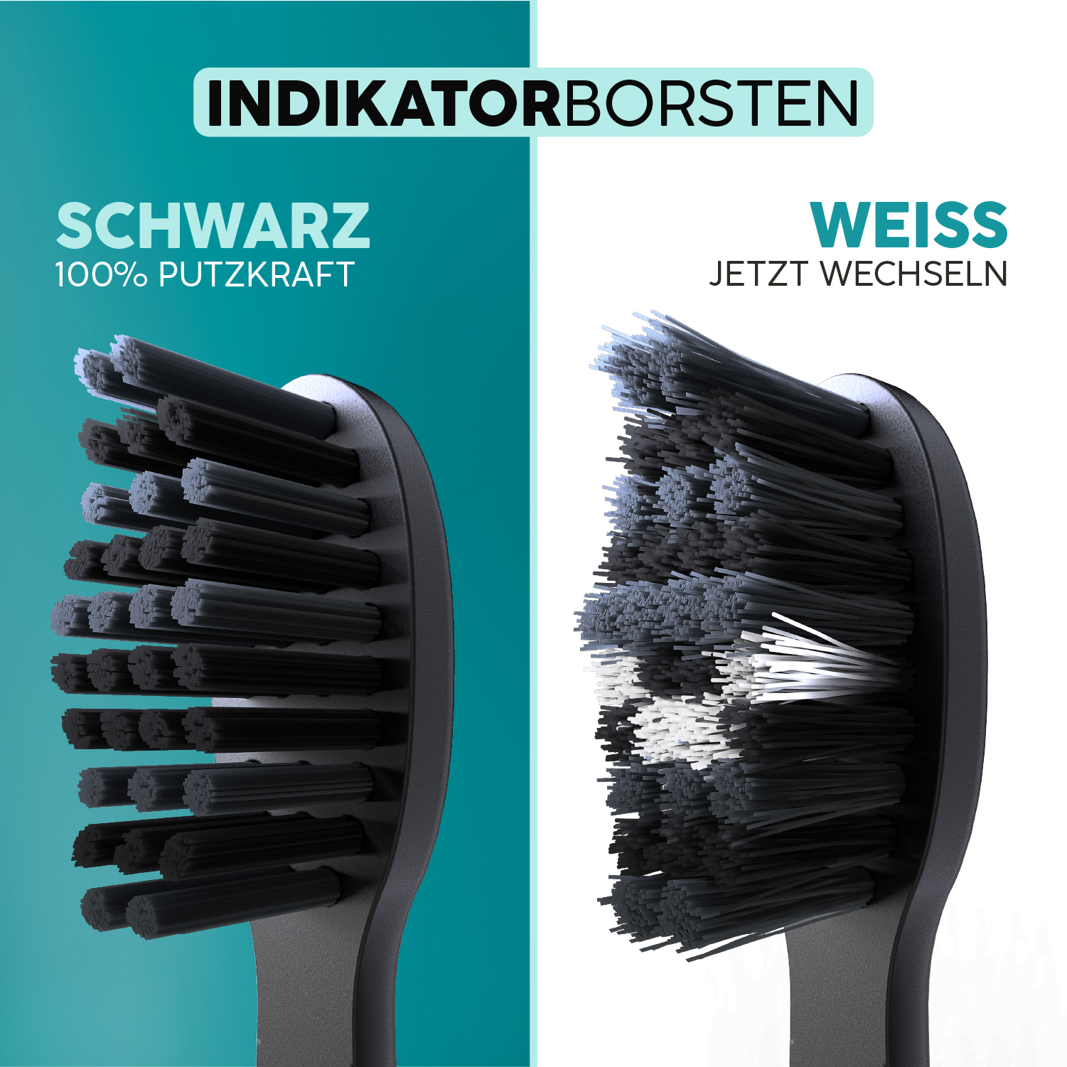 Nahaufnahme von Zahnbürstenköpfen, einer schwarz, einer weiß mit Text.