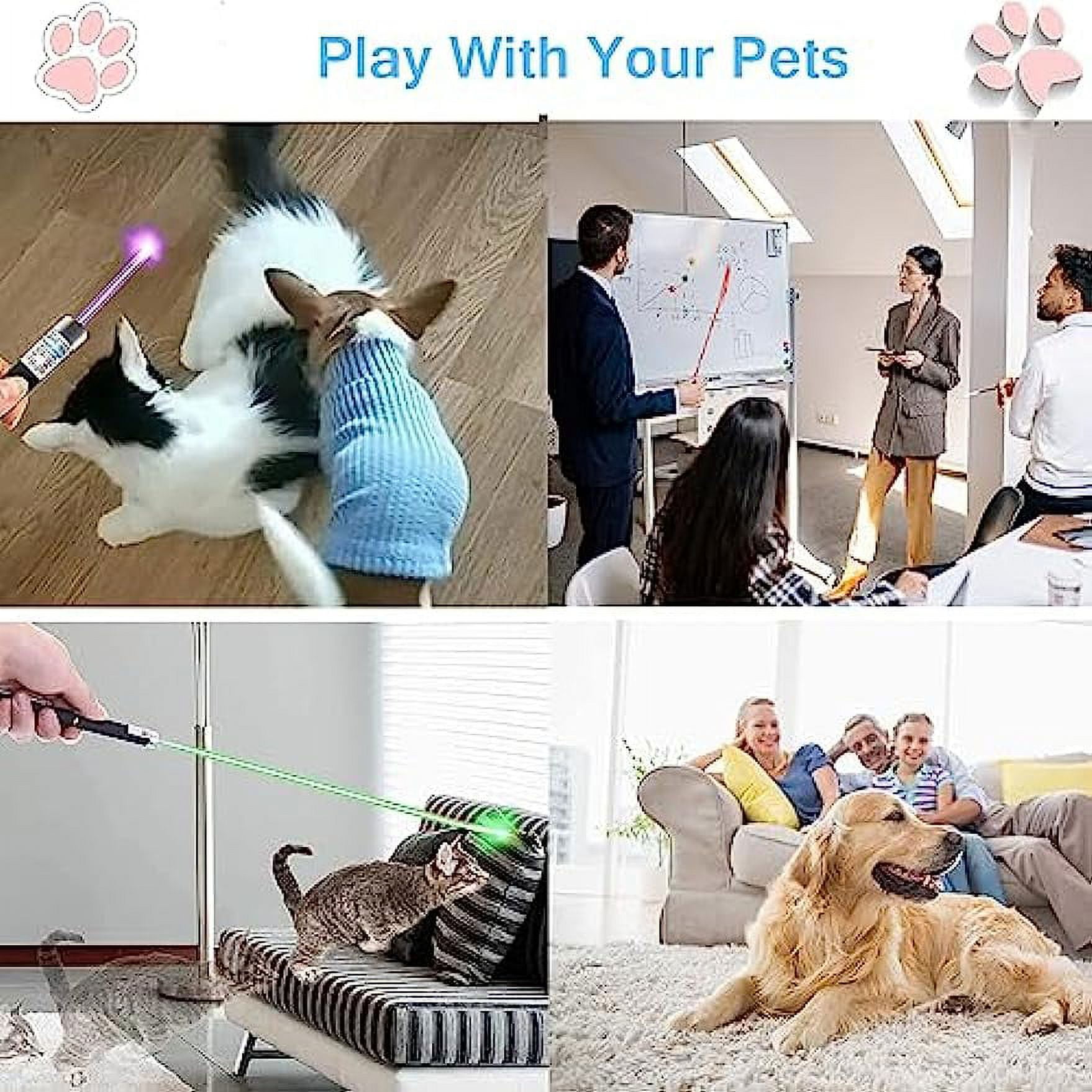 Collage von Bildern: Katzen und Hunde spielen mit Laserpointern, und eine Präsentation mit einem Laserpointer.