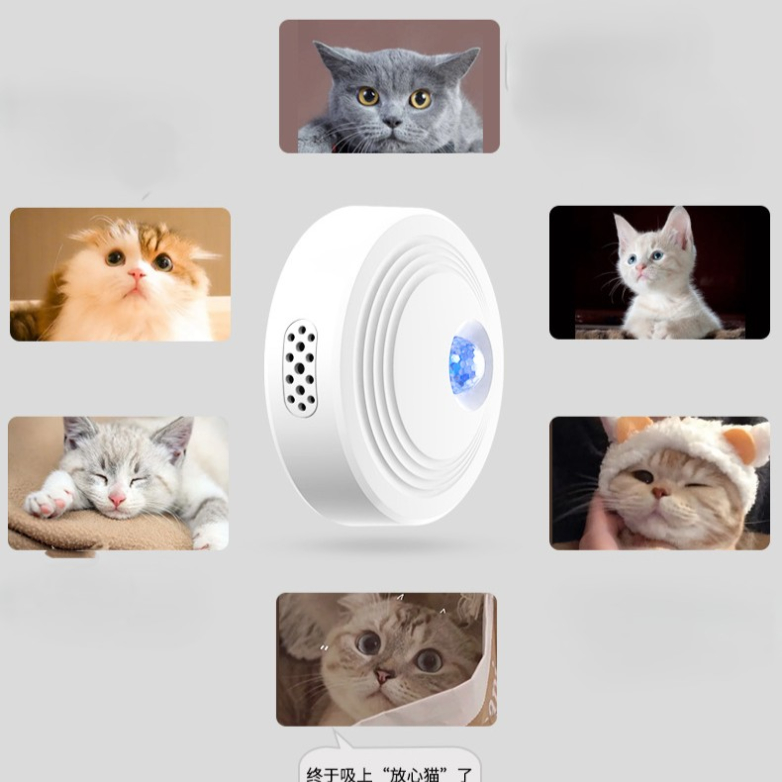 Ein weißer Luftreiniger, umgeben von Bildern von Katzen in verschiedenen Entspannungszuständen.