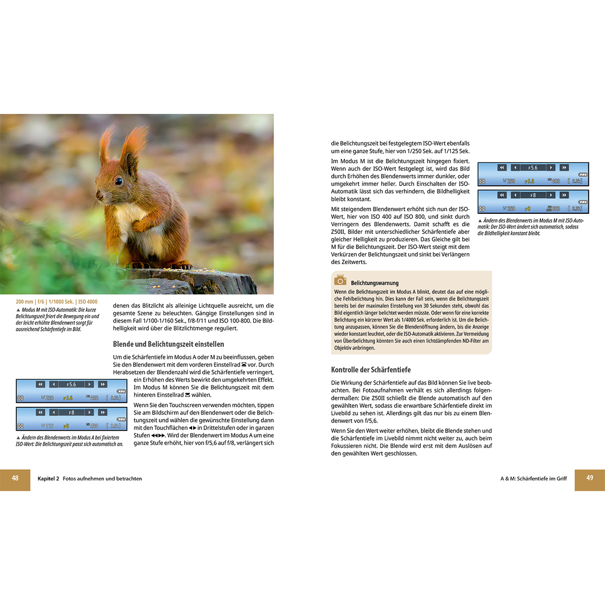 Eine gedruckte Seite aus einem Fotobuch, mit Text, Diagrammen und einem Bild eines Eichhörnchens.