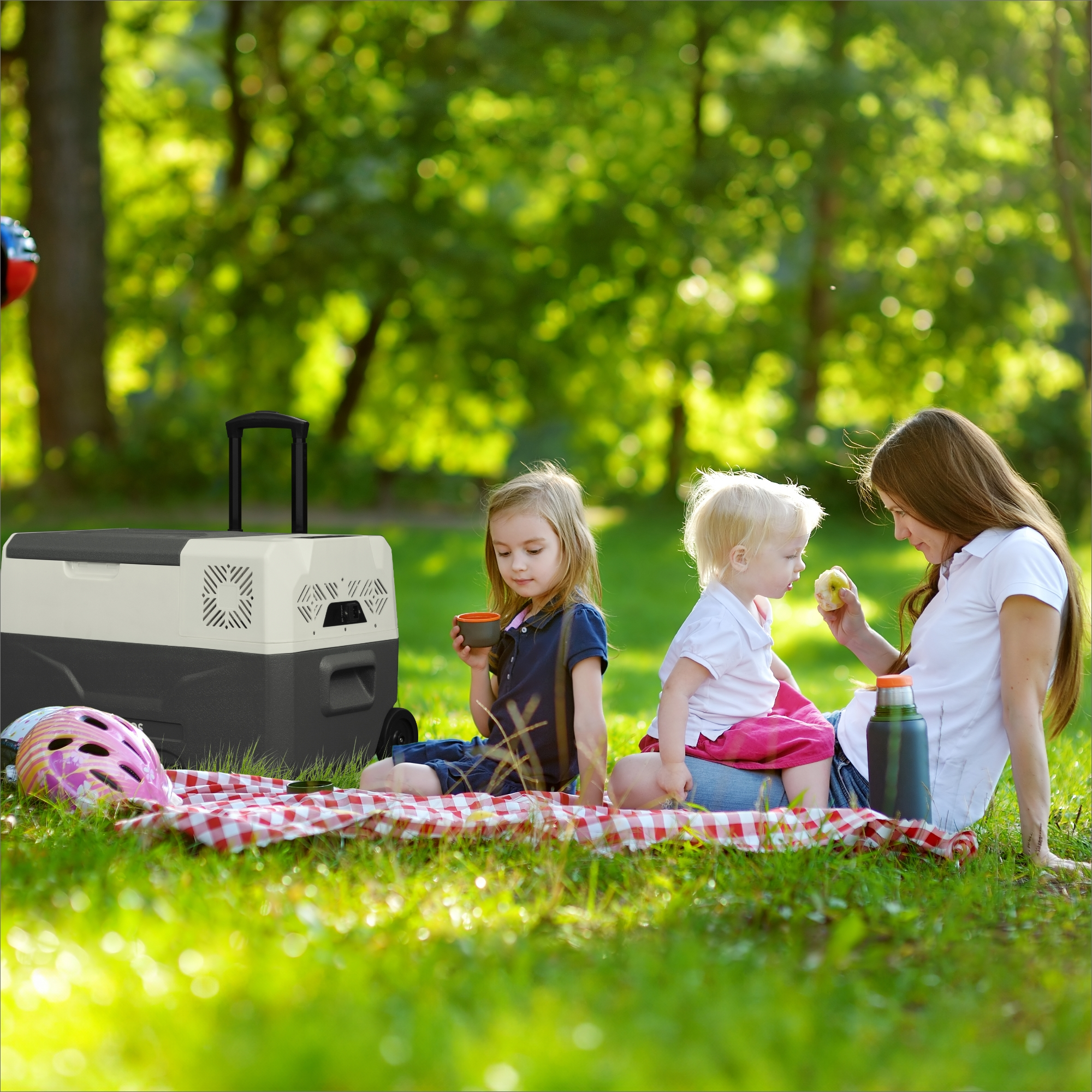 Ein Familienpicknick auf einer karierten Decke in einem Park mit Kühler und Kindern.
