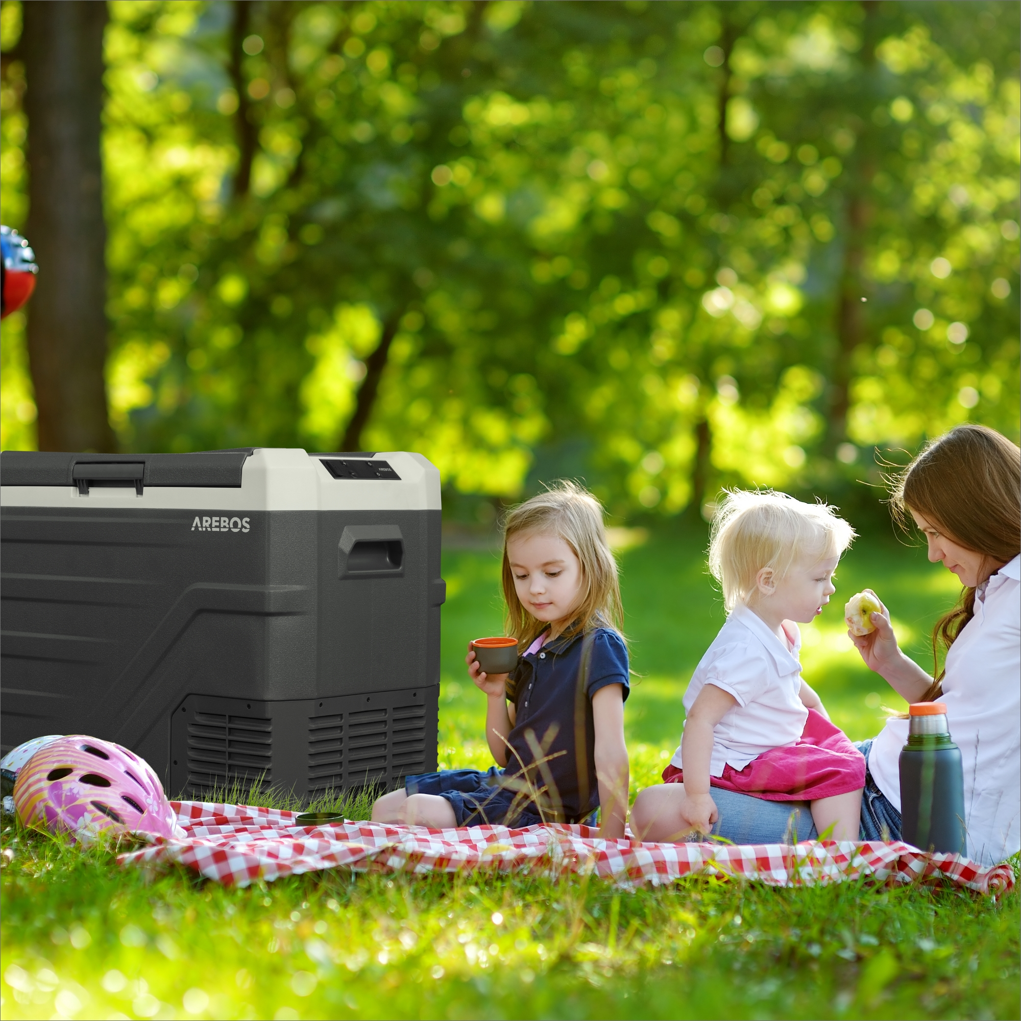 Familienpicknick mit Kühler, Kindern und Frau. Grünes Gras und Bäume sichtbar.