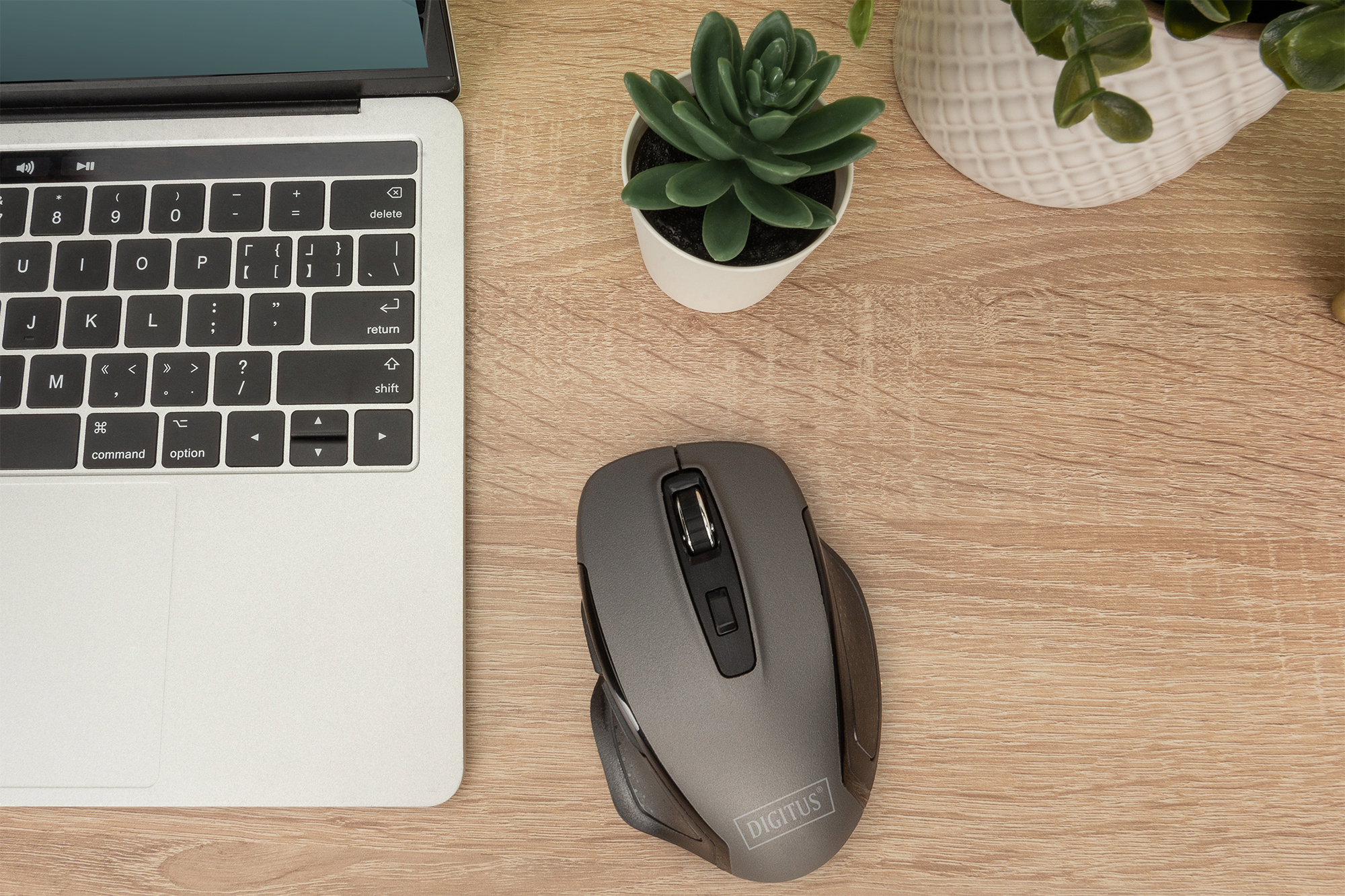 Una tastiera per laptop, un mouse grigio, una succulenta e un vaso di piante su un tavolo di legno.