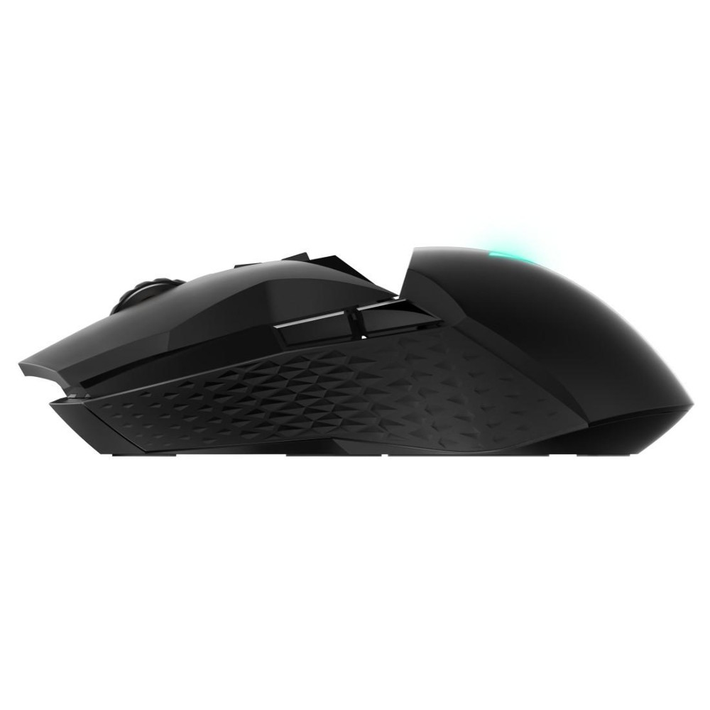 Eine schwarze Computermaus auf weißem Hintergrund, Seitenansicht.