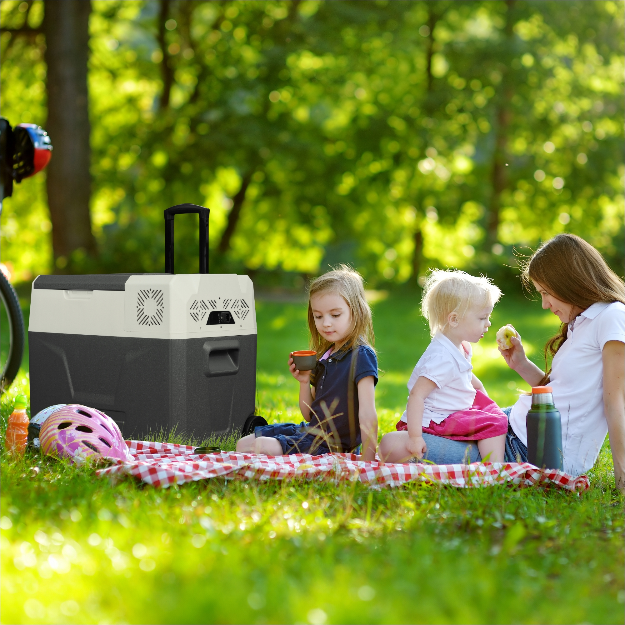 Ein Familienpicknick in einem Park. Eine Kühlbox, eine rot karierte Decke, Kinder und eine Mutter sind zu sehen.