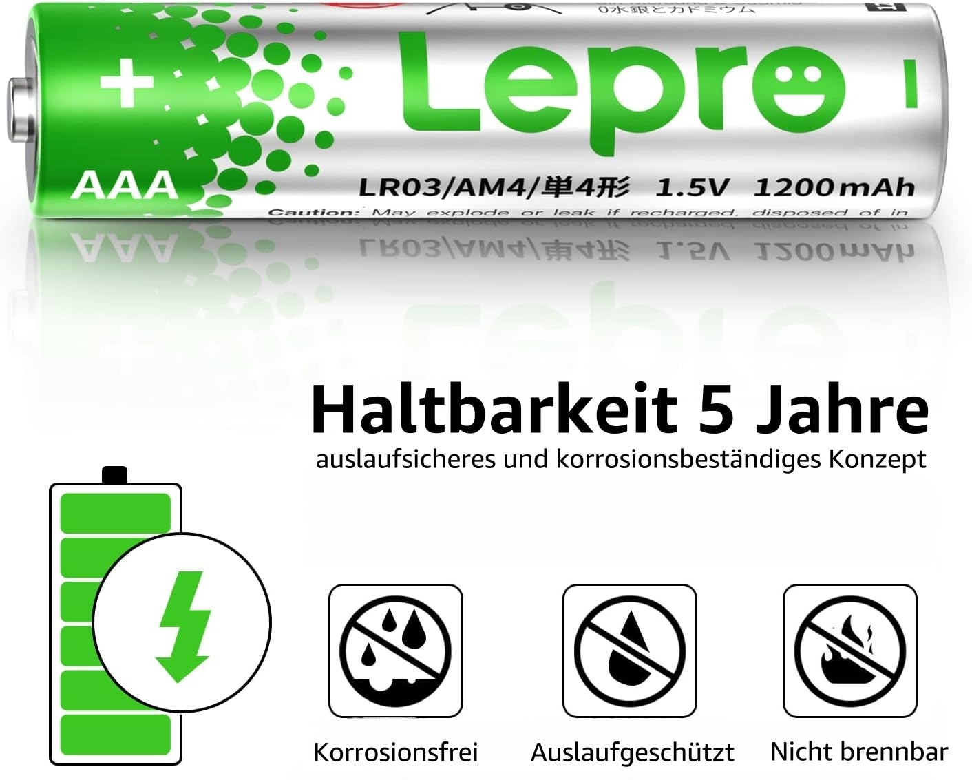 Grüne AAA-Batterien mit Symbolen und Text, die Funktionen angeben.