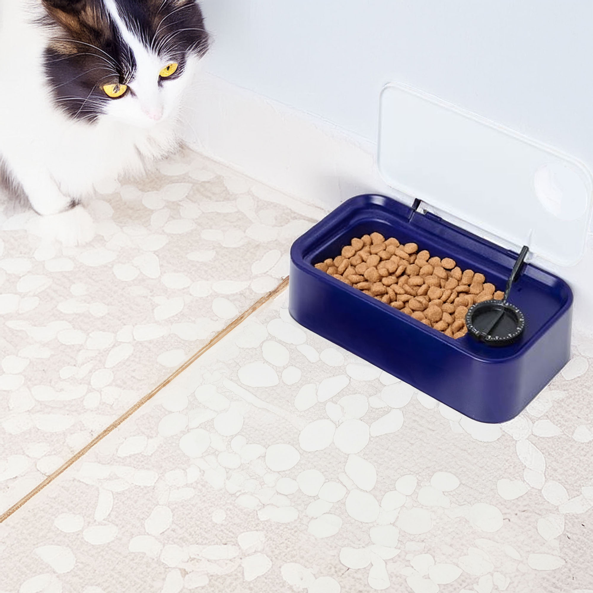 Un gato mira un recipiente de comida para mascotas azul marino con pienso. El recipiente tiene tapa abierta.