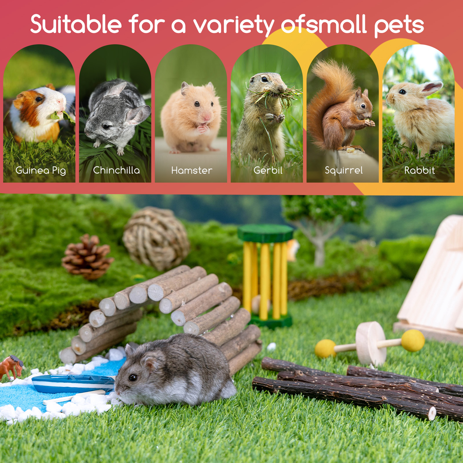 Imagen que muestra varias mascotas pequeñas con sus nombres. Cobaya, chinchilla, hámster, etc.