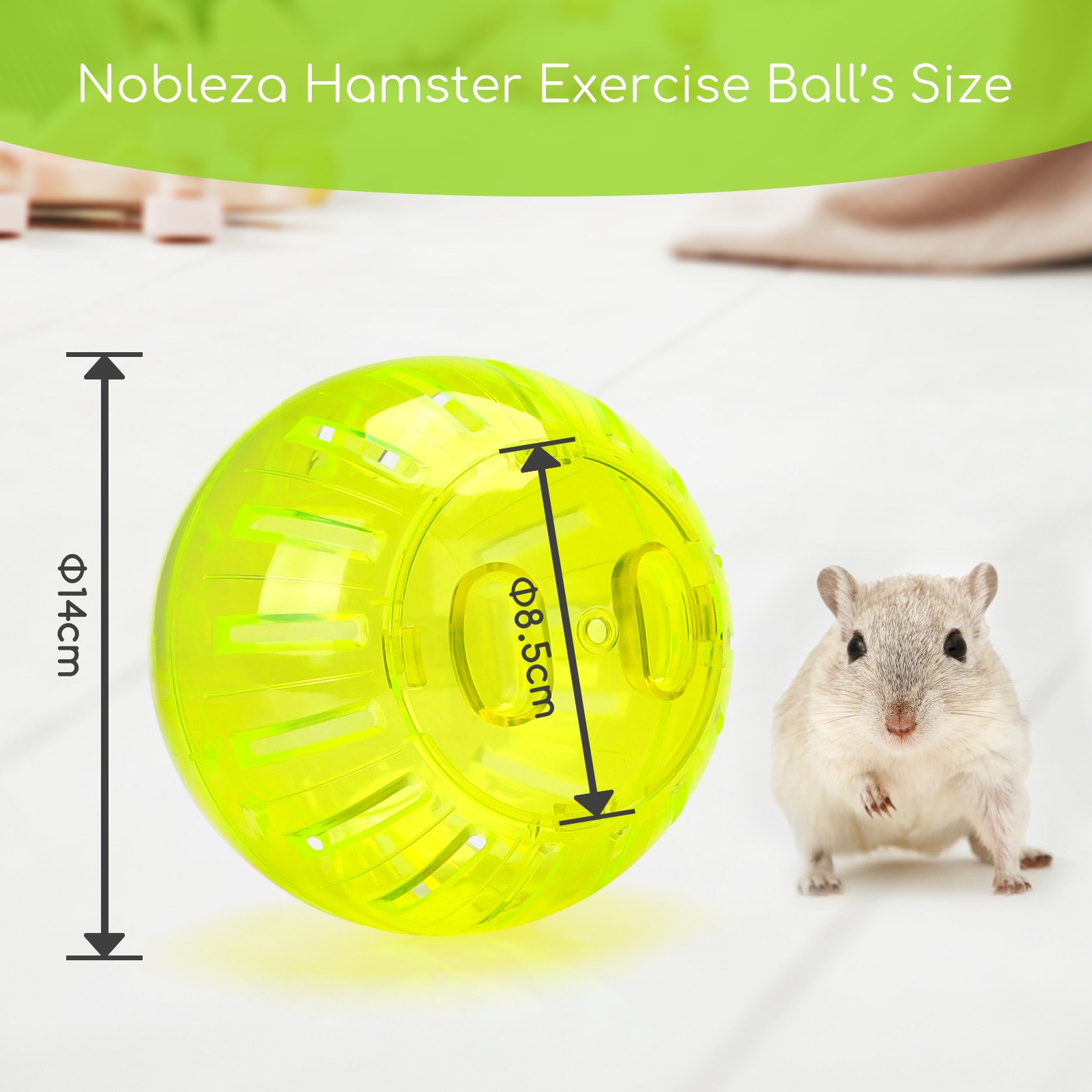 Una bola de ejercicio para hámsteres con un hámster al lado. Dimensiones: 14 cm alto, 8.5 cm diámetro.