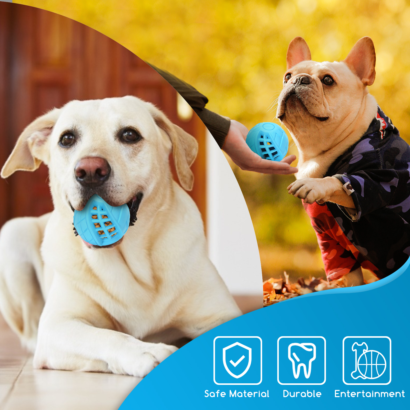 Dos perros jugando con juguetes azules. Un perro tiene una pelota en la boca.