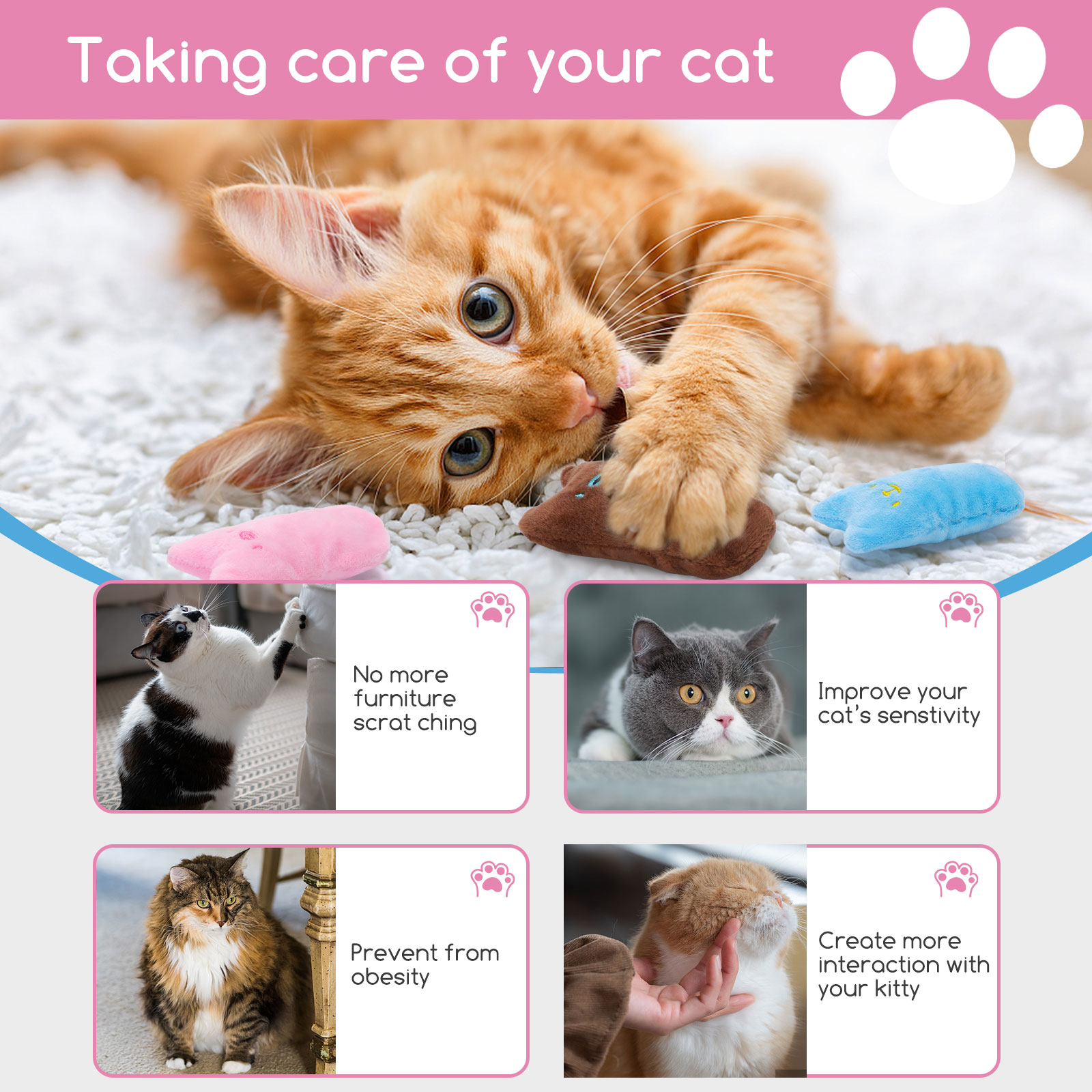 Un gato juega con juguetes. La imagen incluye texto e imágenes de gatos con formas de cuidarlos.