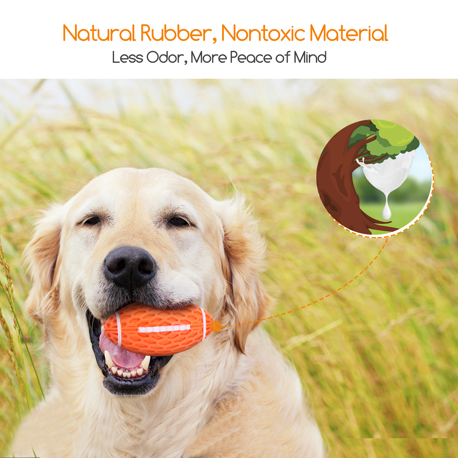 Un Golden Retriever sosteniendo un juguete naranja. El fondo incluye texto y un diagrama de un árbol.