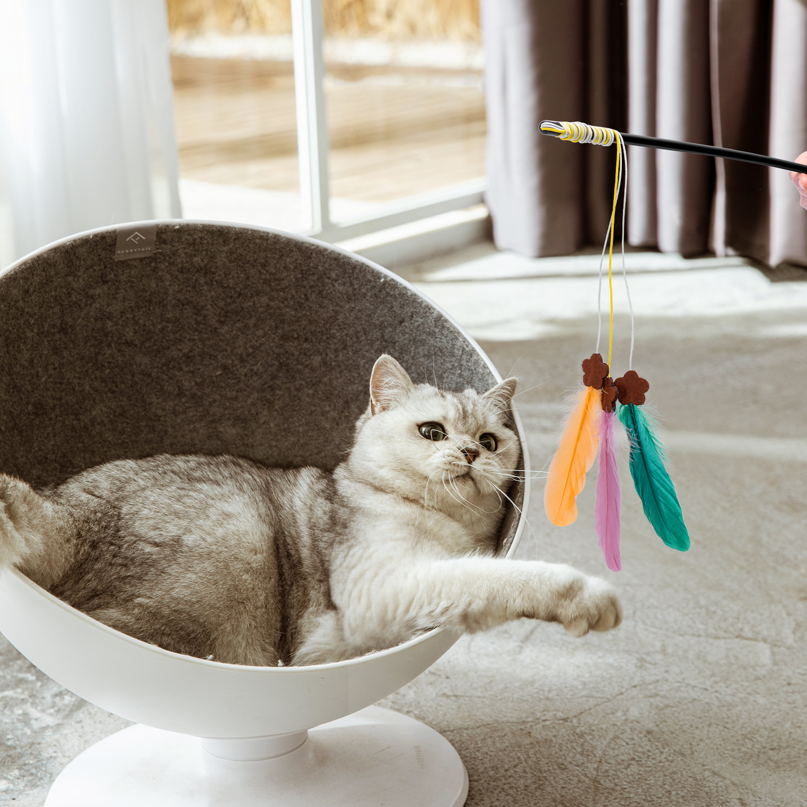 Gato en una cama blanca, jugando con un juguete de plumas sostenido por una mano. Fondo gris.
