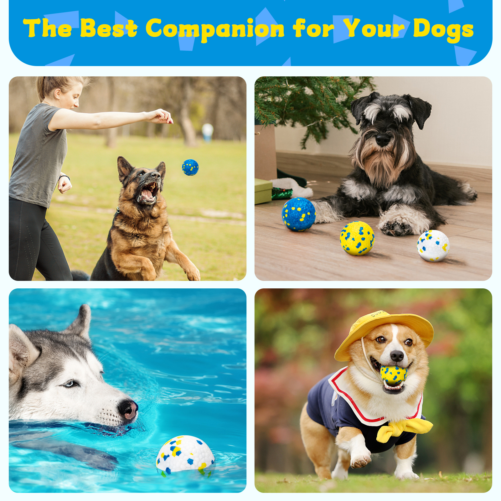 Cuatro fotos de perros jugando con pelotas. Variedad de razas y entornos.