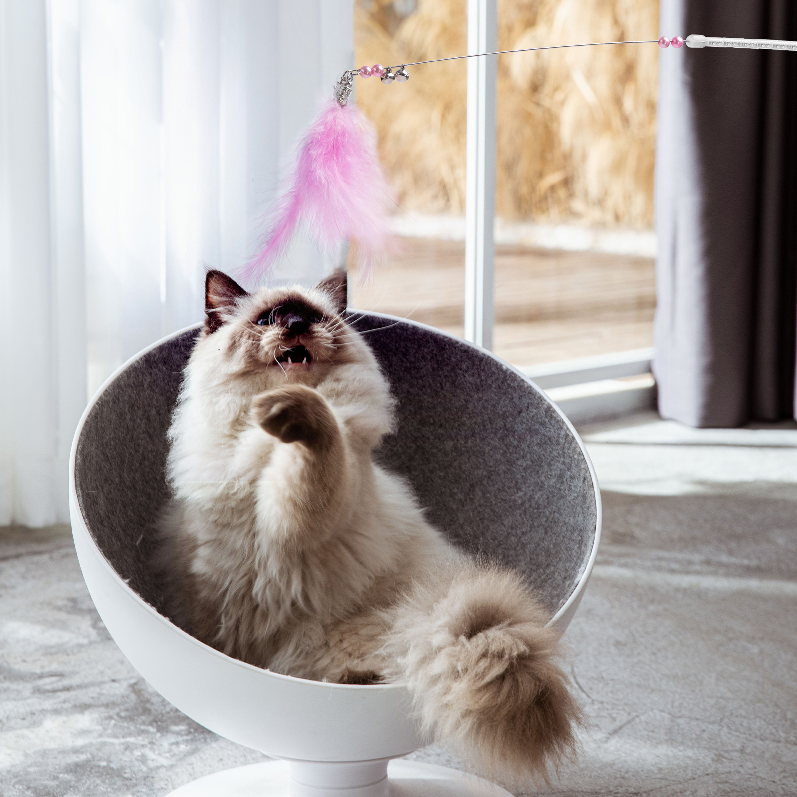 Un gato blanco y gris sentado en una moderna cama para gatos, jugando con un juguete de plumas rosas en un palo.