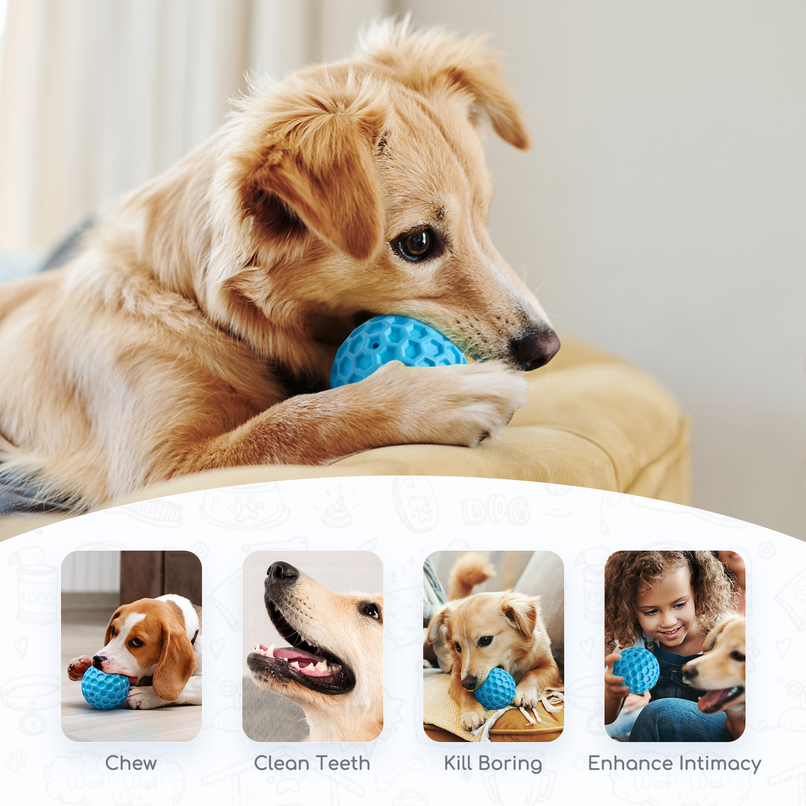 Perro con pelota azul, imágenes de perros con pelotas y las palabras: Masticar, Limpiar dientes, Matar aburrimiento, Mejorar intimidad.