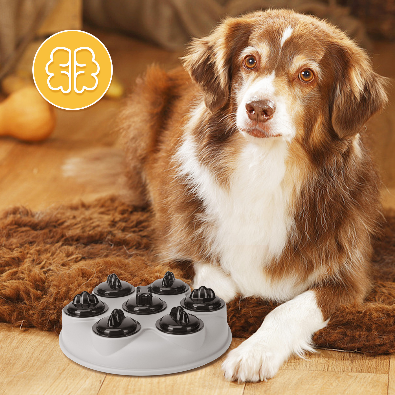 Juguete para perros con tapas negras y un perro mirando a la cámara. Pelaje marrón.