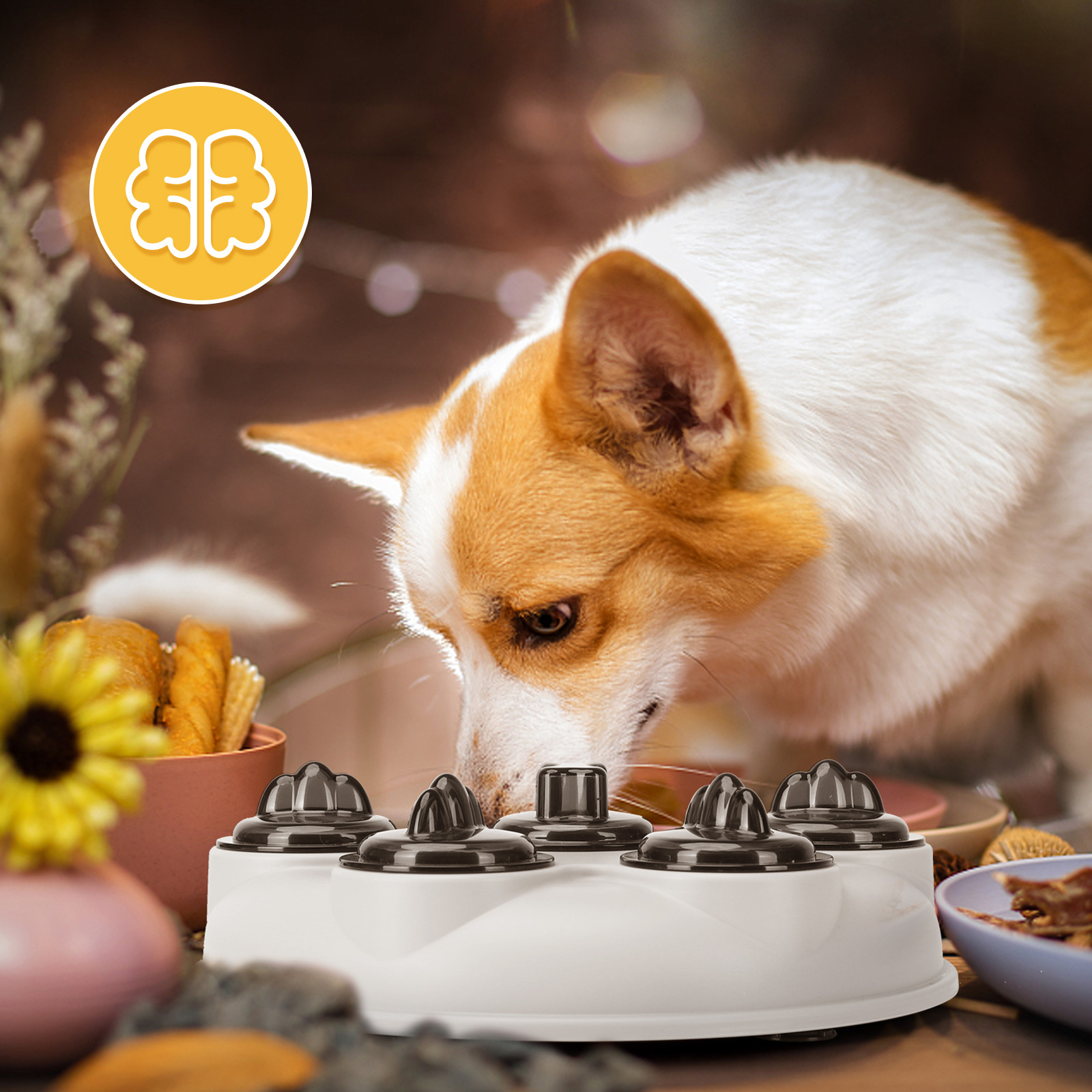 Perro olfateando un juguete de puzzle con comida, interior con flores.