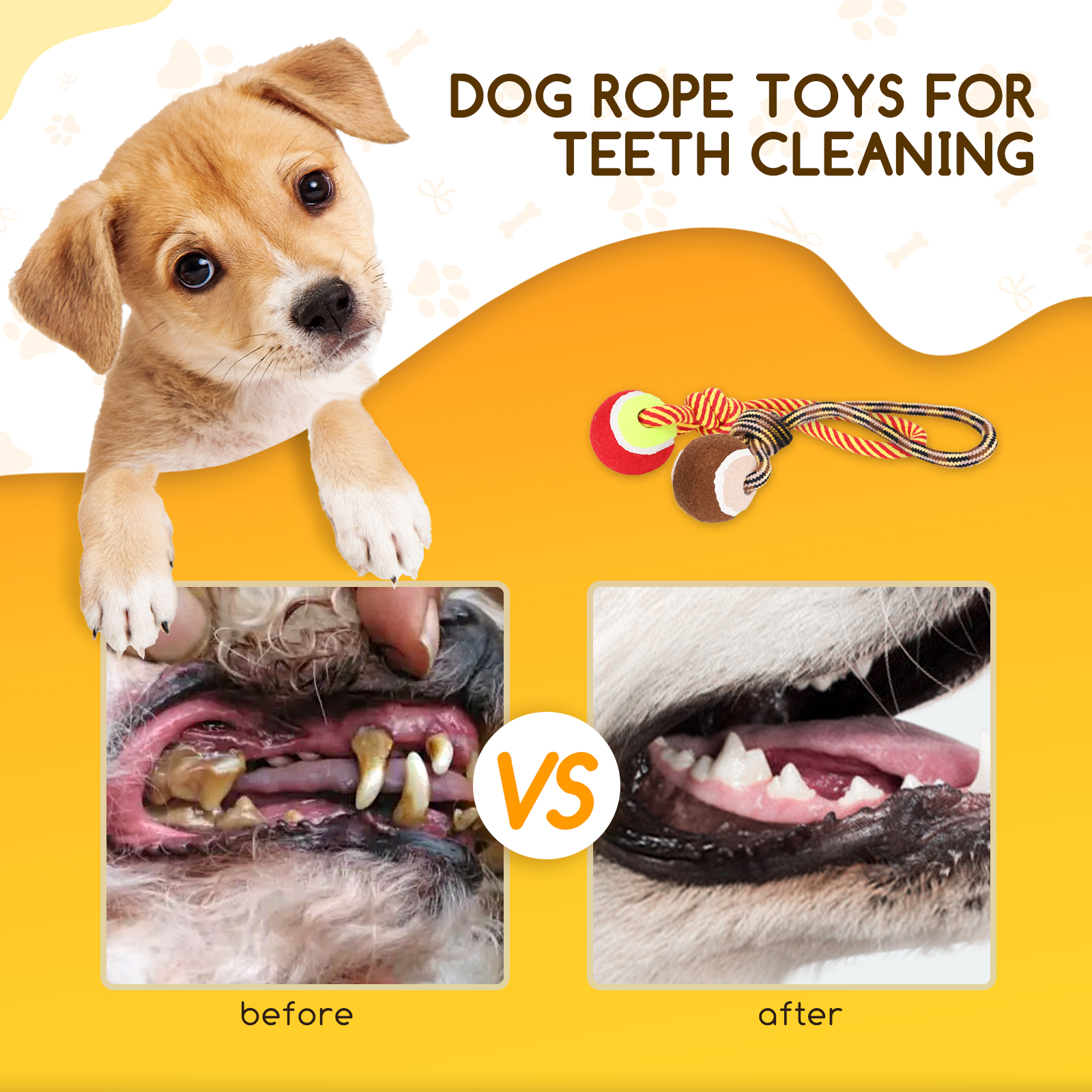 Cachorro con juguete para perros. Imágenes del antes y el después de la limpieza de dientes.