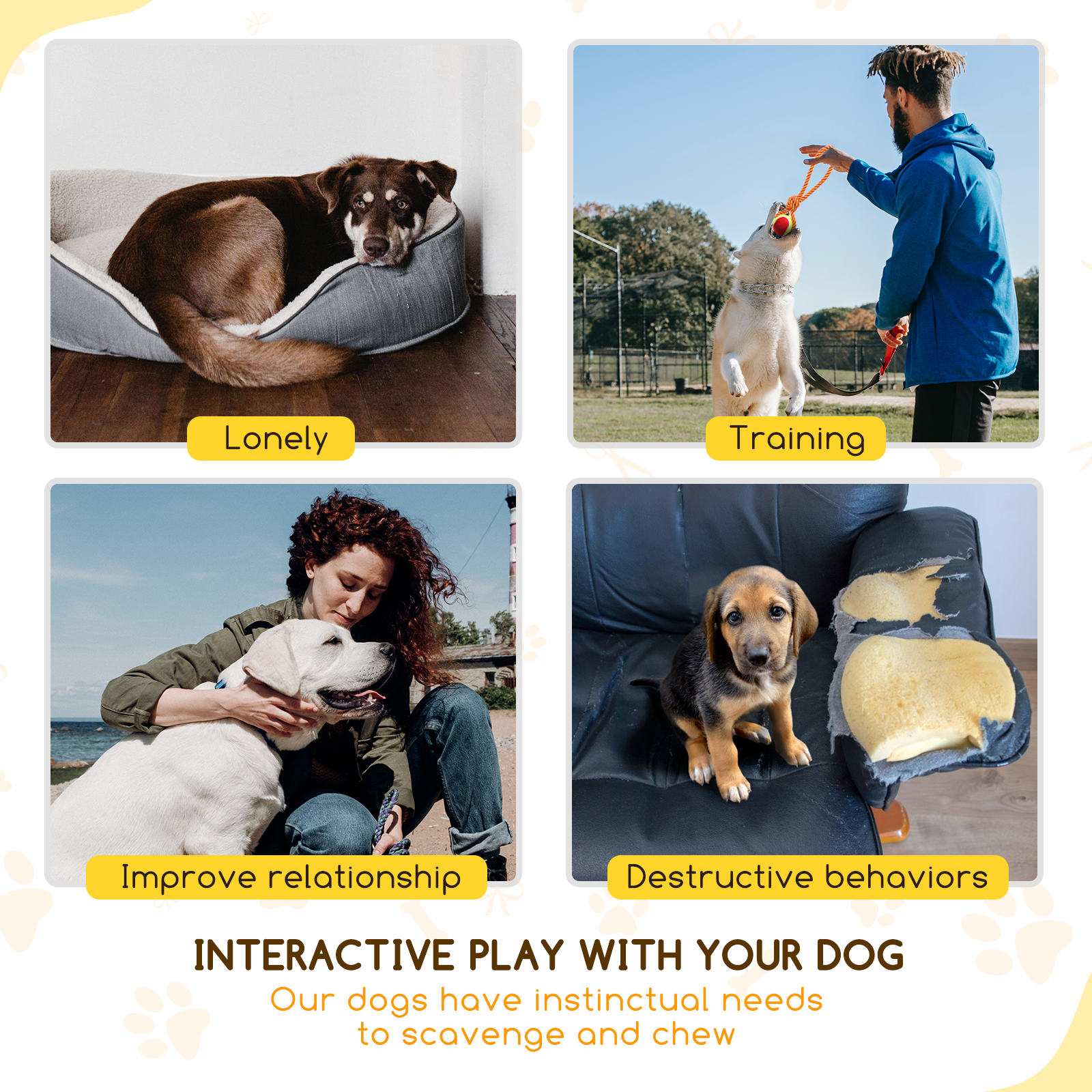 Cuatro imágenes con texto: perro solitario, perro entrenando, perro con dueño y perro masticando un sofá.