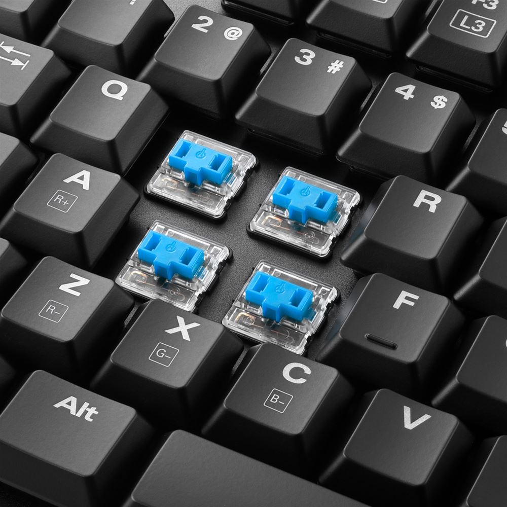 Close-up of a keyboard with black keys and blue switches. Letters and symbols visible.