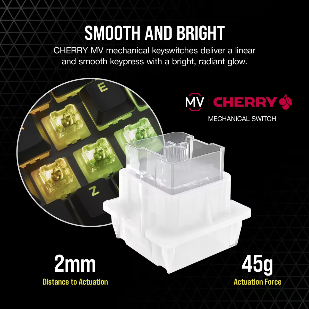 Zbliżenie przełącznika klawiatury, z białą podstawą i przezroczystą górą.