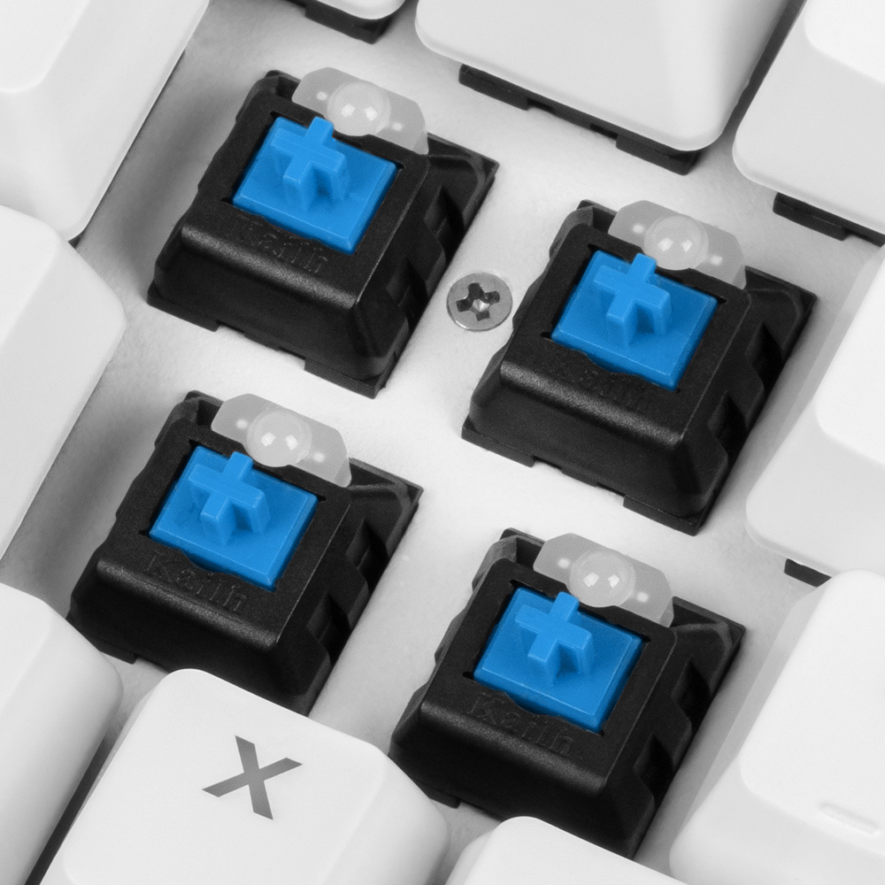 Primo piano degli interruttori della tastiera meccanica, ciascuno con uno stelo blu a forma di croce.