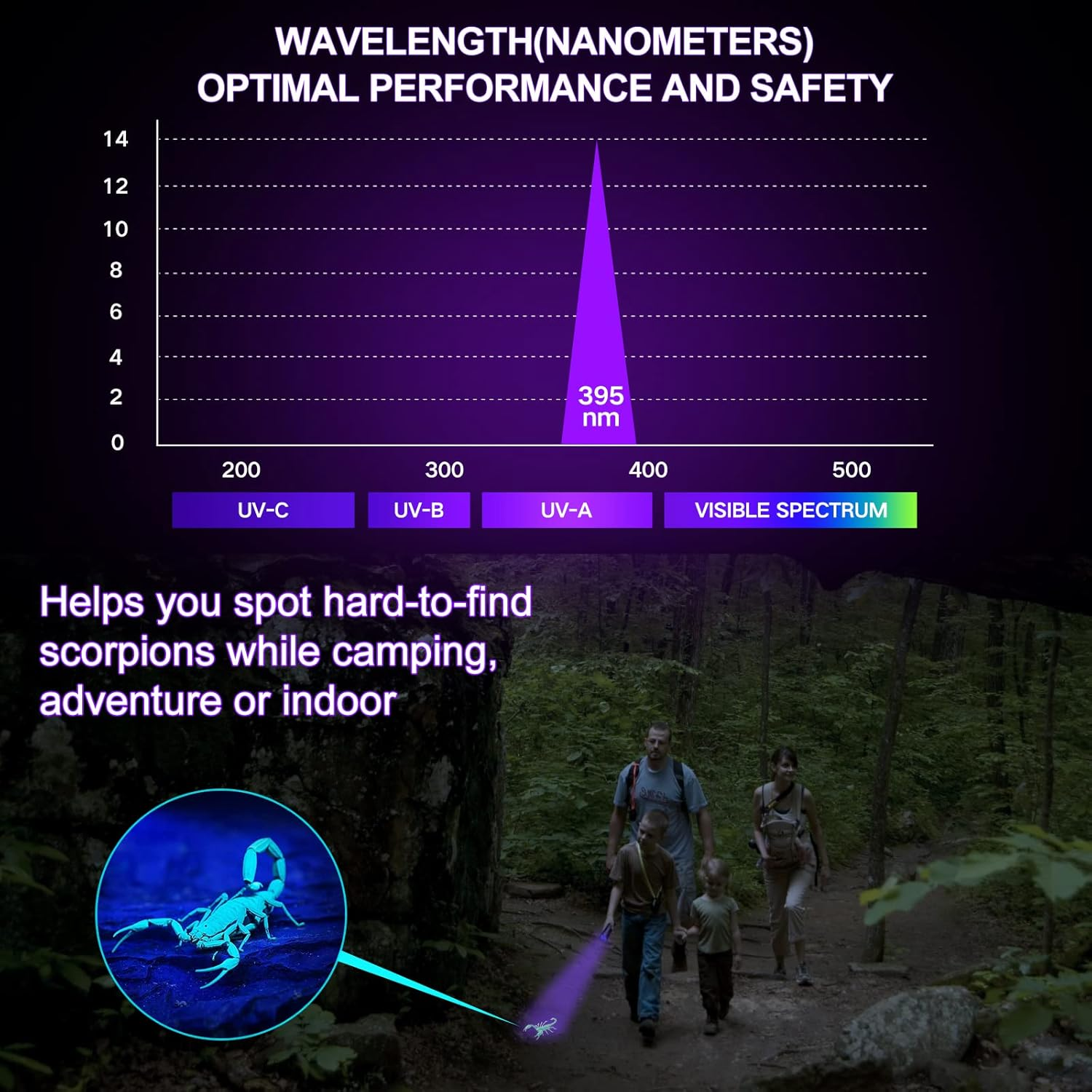 Diagramm, das UV-A-Licht zeigt, das verwendet wird, um Skorpione nachts zu erkennen.